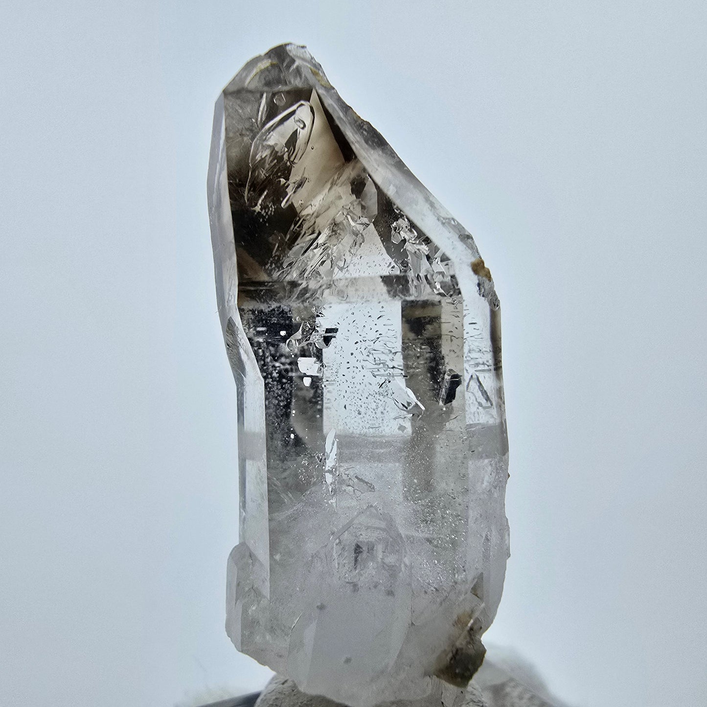 Enhydro Phantom Rauchquarz Zepter, 1x Blase Goboboseb, Namibia 47*17*14mm