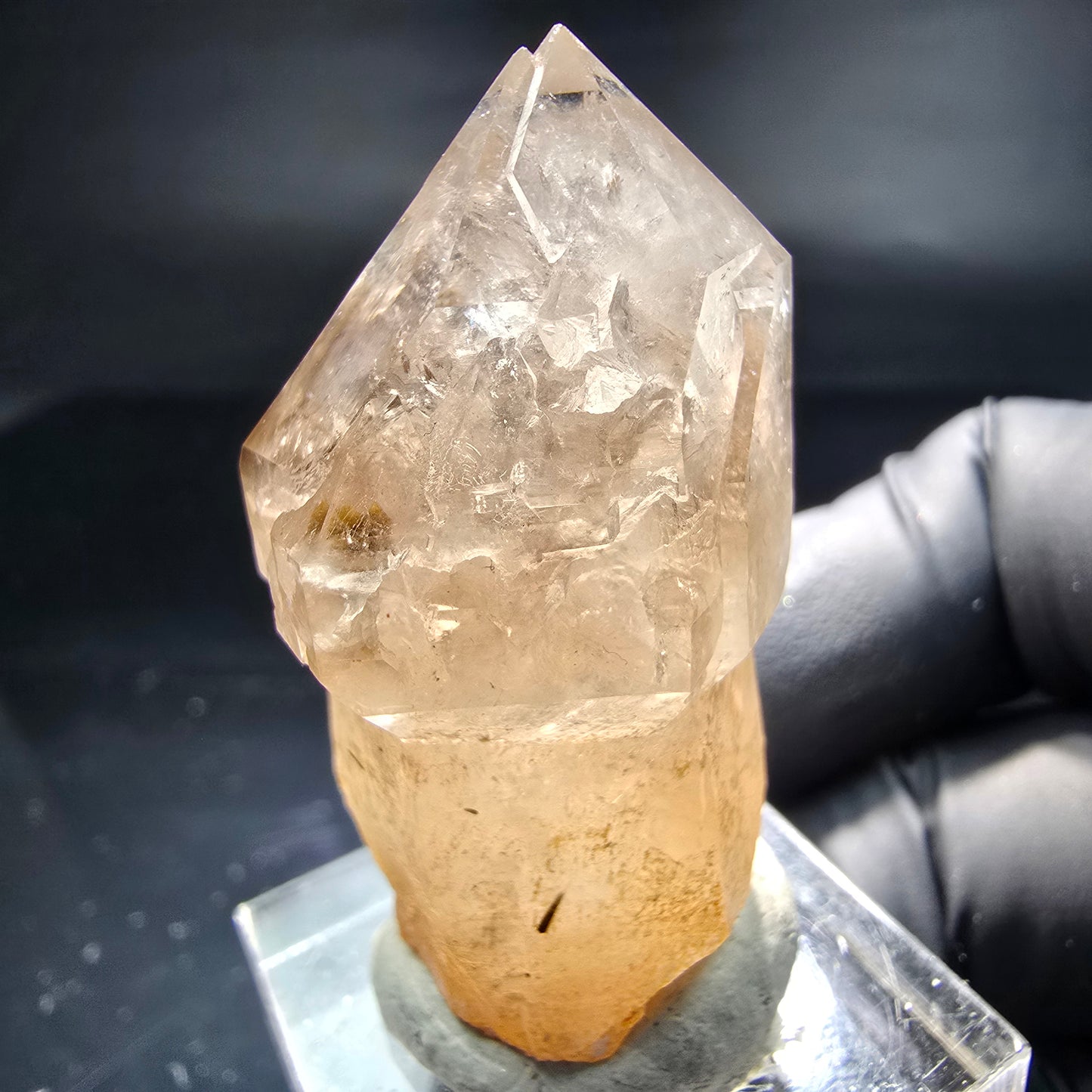 Schöne Phantom Rauchquarz Zepter Spitze Erongo, Namibia 43*23*20mm Sammlung