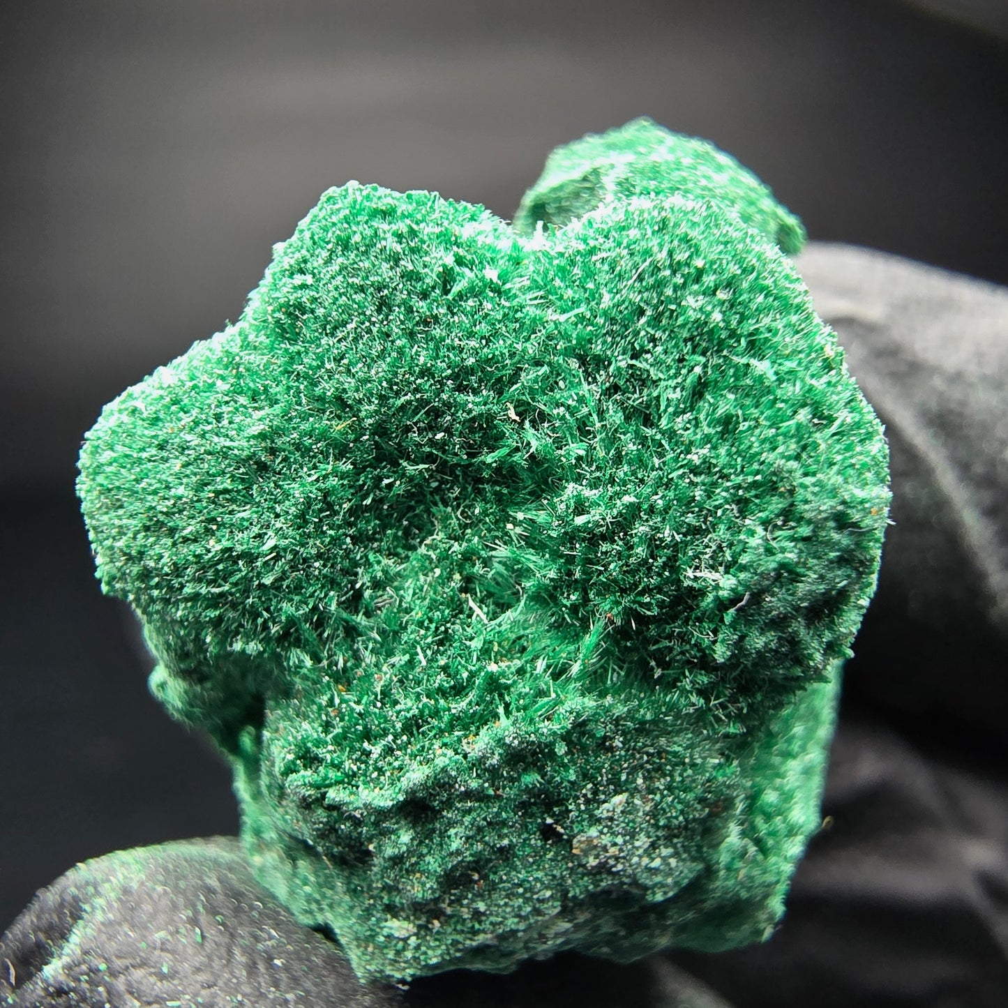 Spécimen rare de malachite, Kaokoveld vert, collection minérale namibie 24*22*16mm