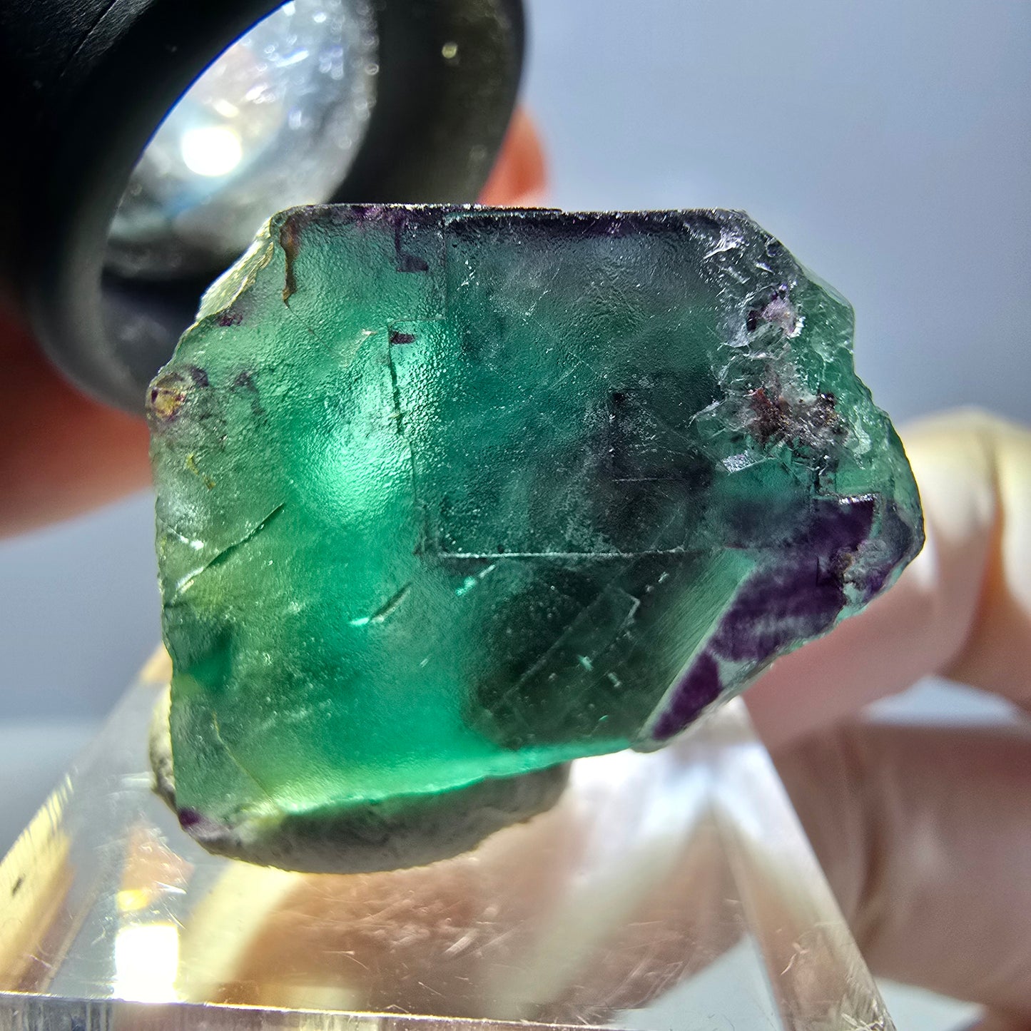 Phantom Fluorit Würfel Stufe, parkettiert grün lila Okorusu, Namibia 25*25*21mm