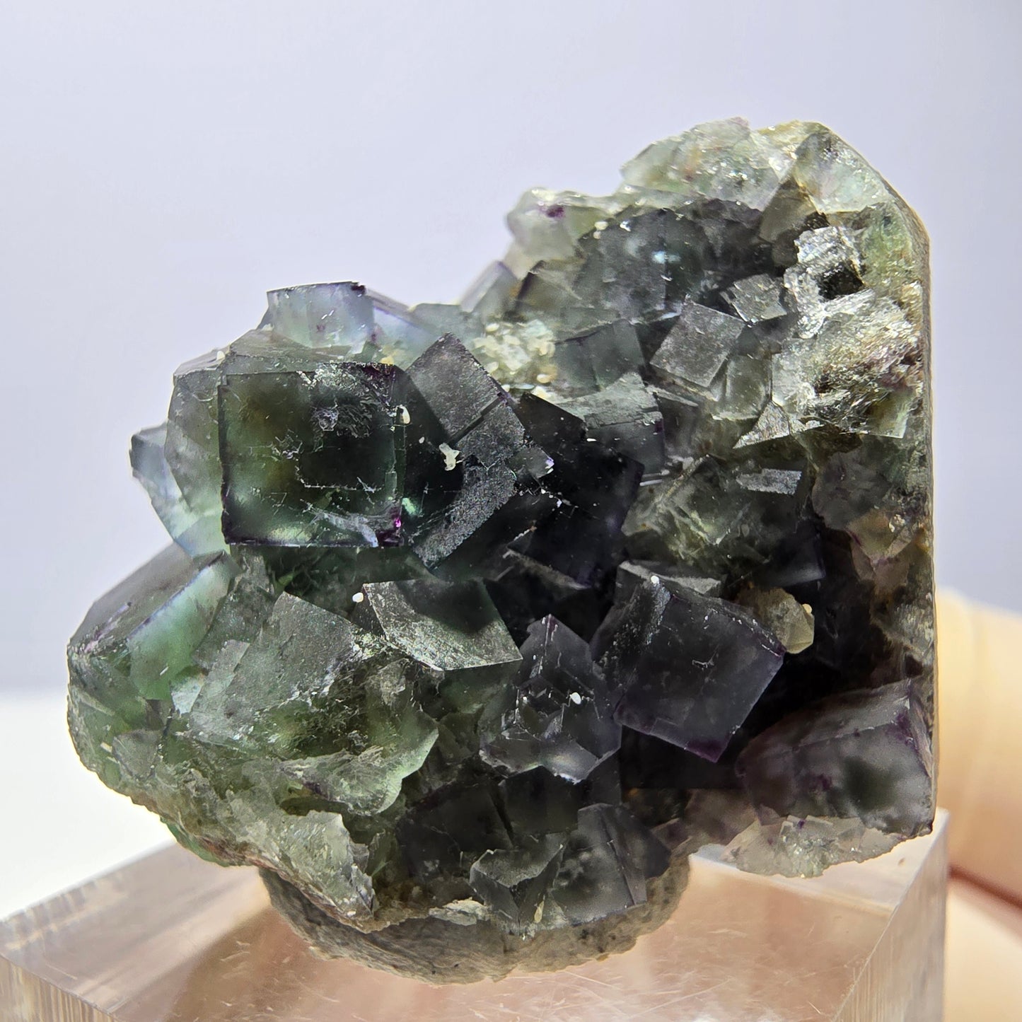 Spécimen de cube de fluorite fantôme, vert violet, Okorusu, Namibie, 35 x 28 x 22 mm