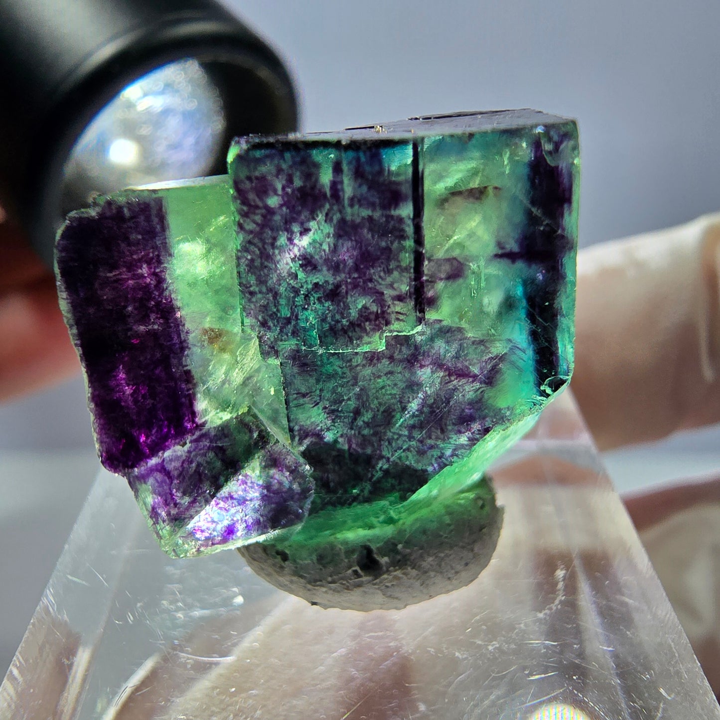 Phantom Fluorit Würfel Stufe grün lila zonal 11:11 Angel Pocket, Namibia 24*21*19mm
