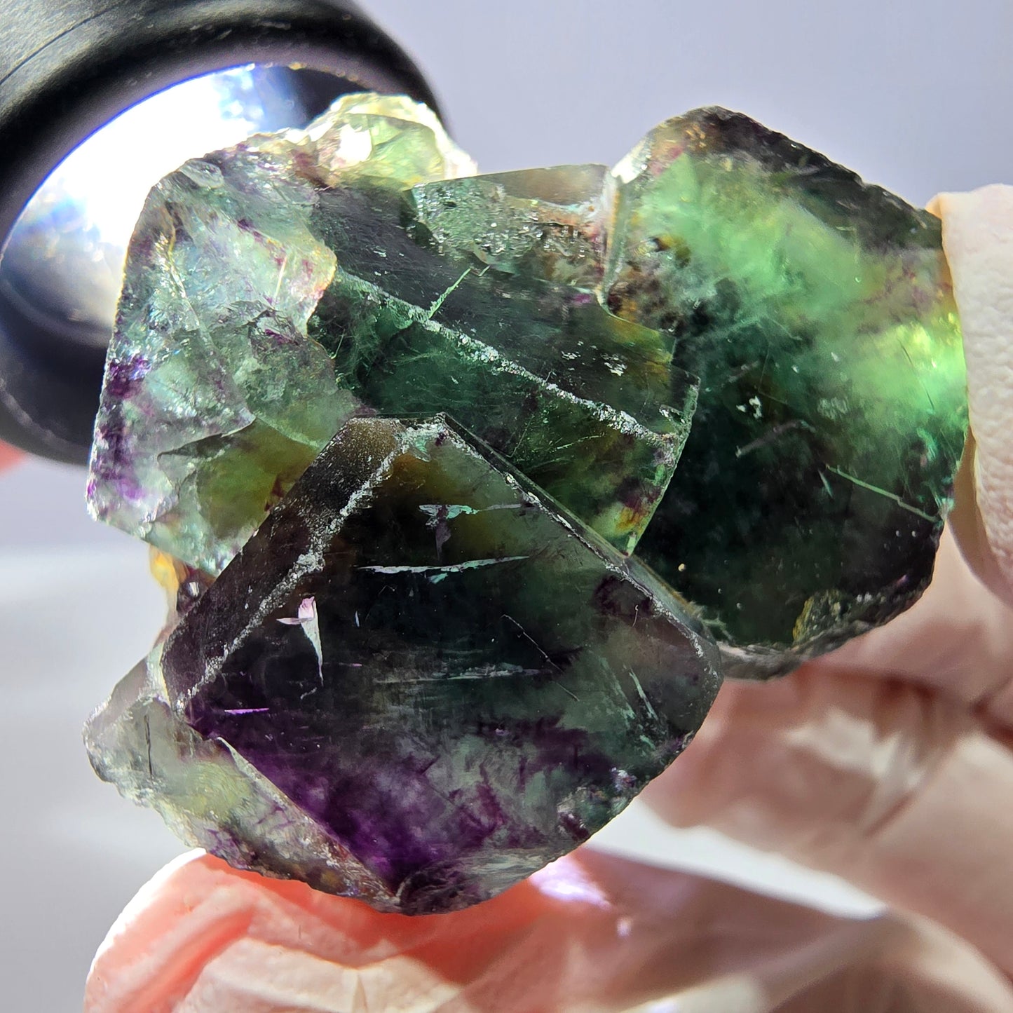 Spécimen de cube de fluorite fantôme, parqueté vert violet Okorusu, Namibie 33*34*21 mm