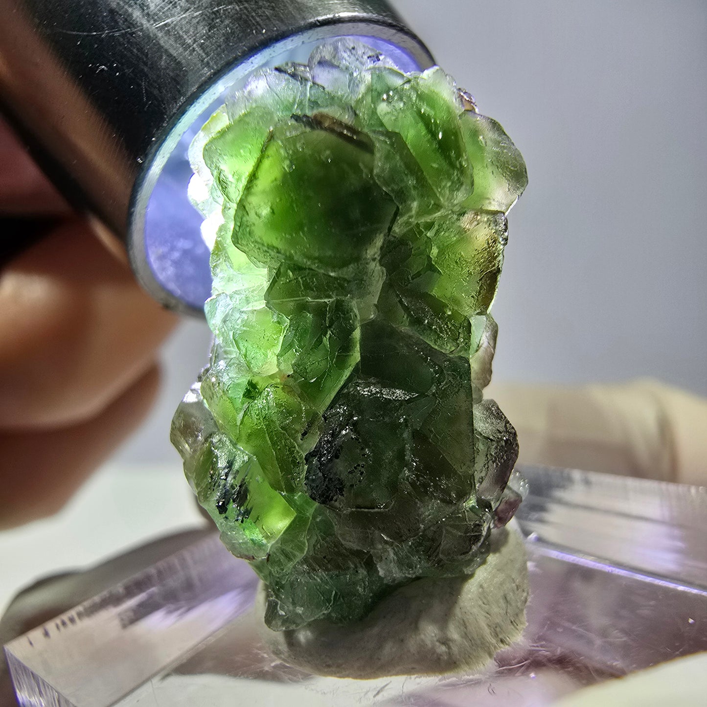 Cube de fluorite fantôme, zonal, spécimen de tourmaline Schorl, Erongo, Namibie, 23 x 15 x 14 mm
