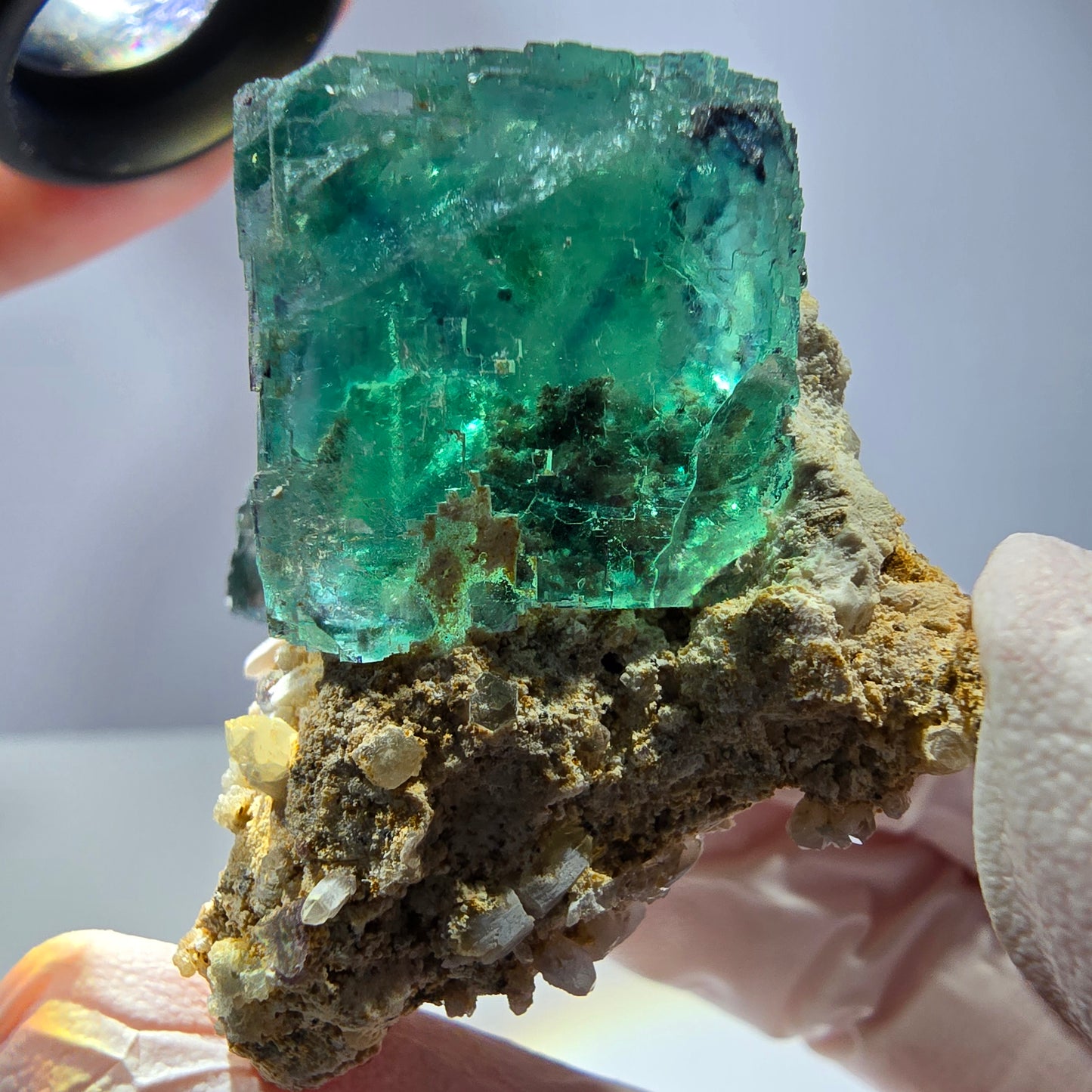 Spécimen de cube de fluorite fantôme, parqueté vert violet Okorusu, Namibie 46*37*36 mm