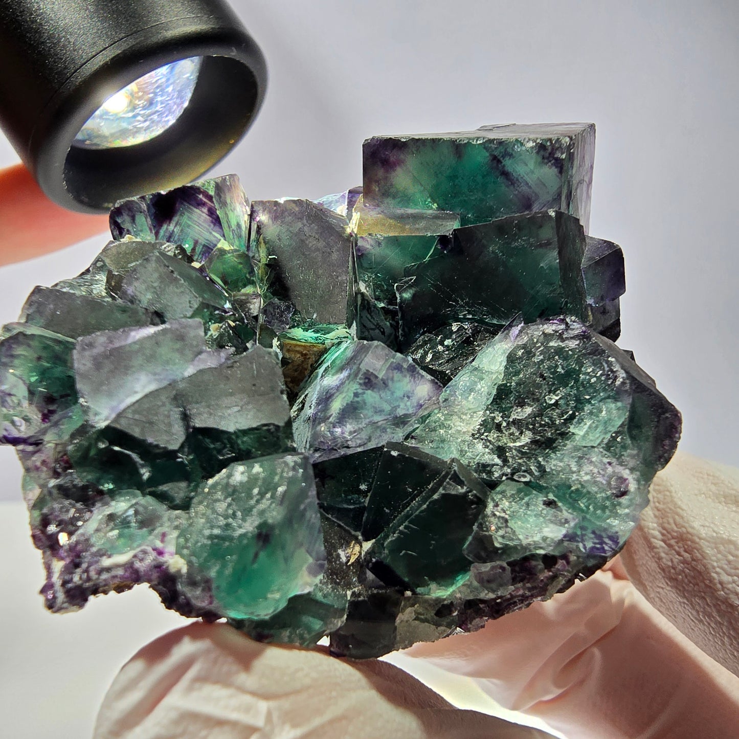 Spécimen de cube de fluorite fantôme, parqueté vert violet Okorusu, Namibie 59*46*39 mm