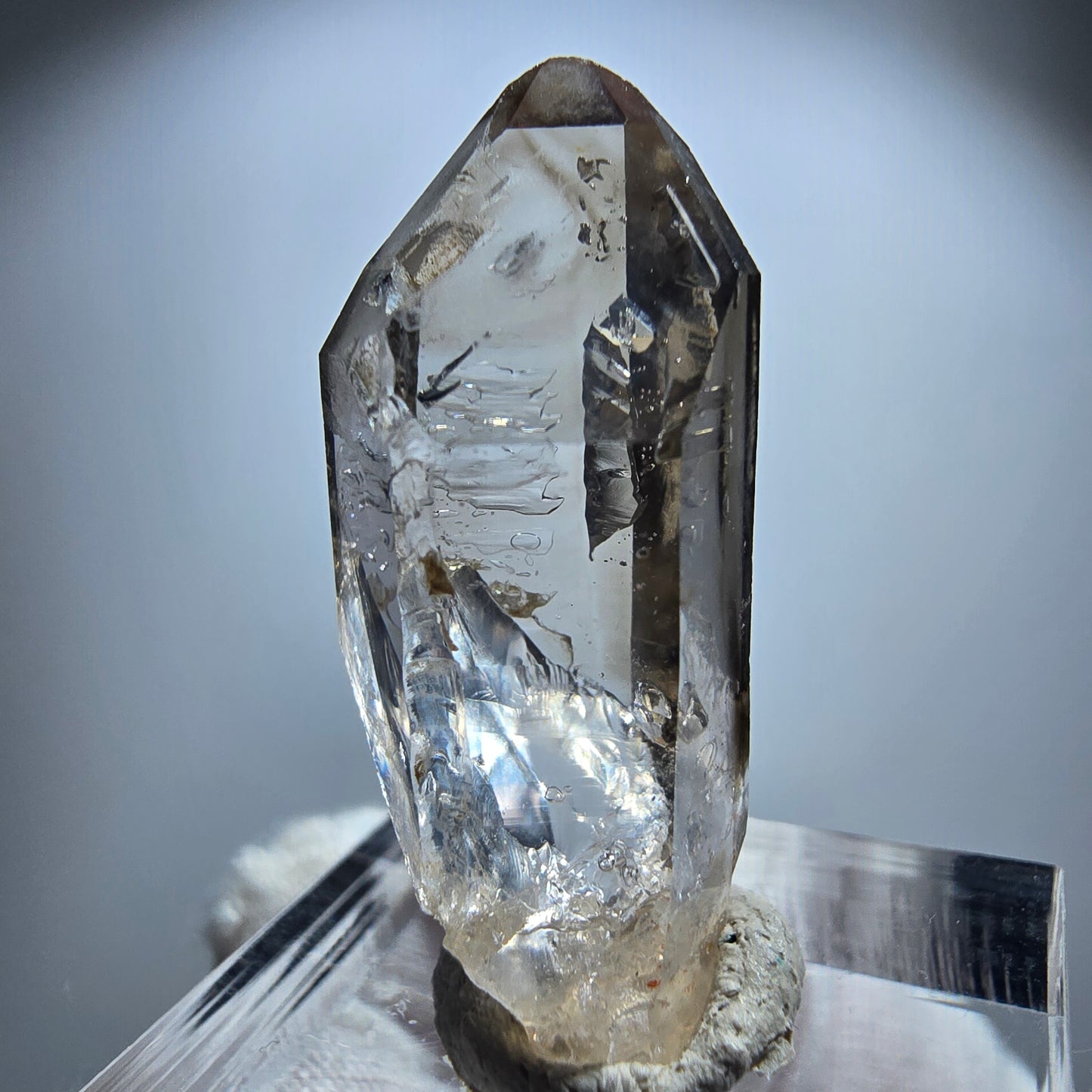 Enhydro Phantom Rauchquarz Zepter, 2x Blase Goboboseb, Namibia 31*13*11mm