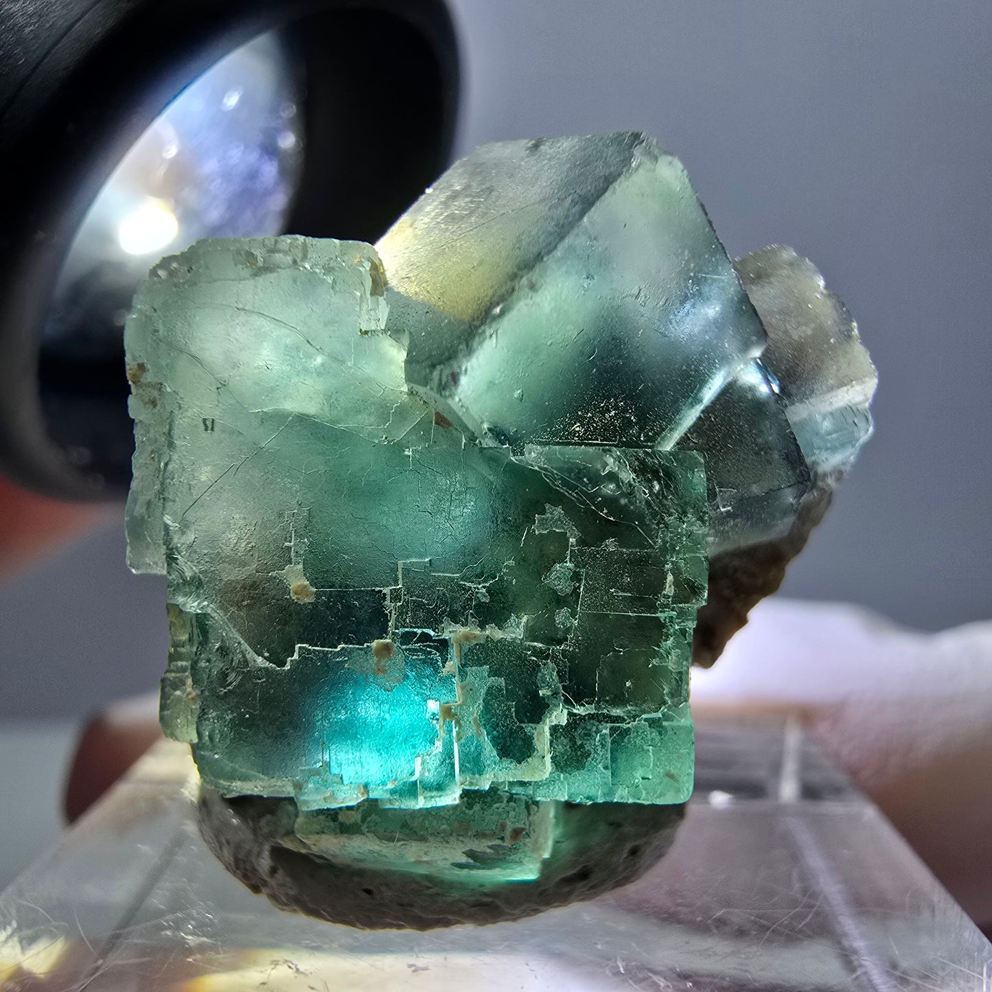 Spécimen de cube de fluorite fantôme, parquet vert Okorusu, Namibie 25 x 20 x 15 mm