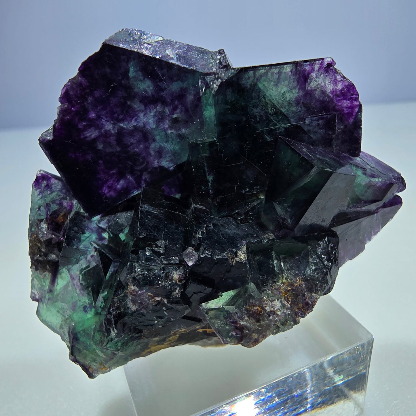 Seltene Phantom Fluorit Würfel Stufe zonal grün lila Okorusu, Namibia 43*38*18mm