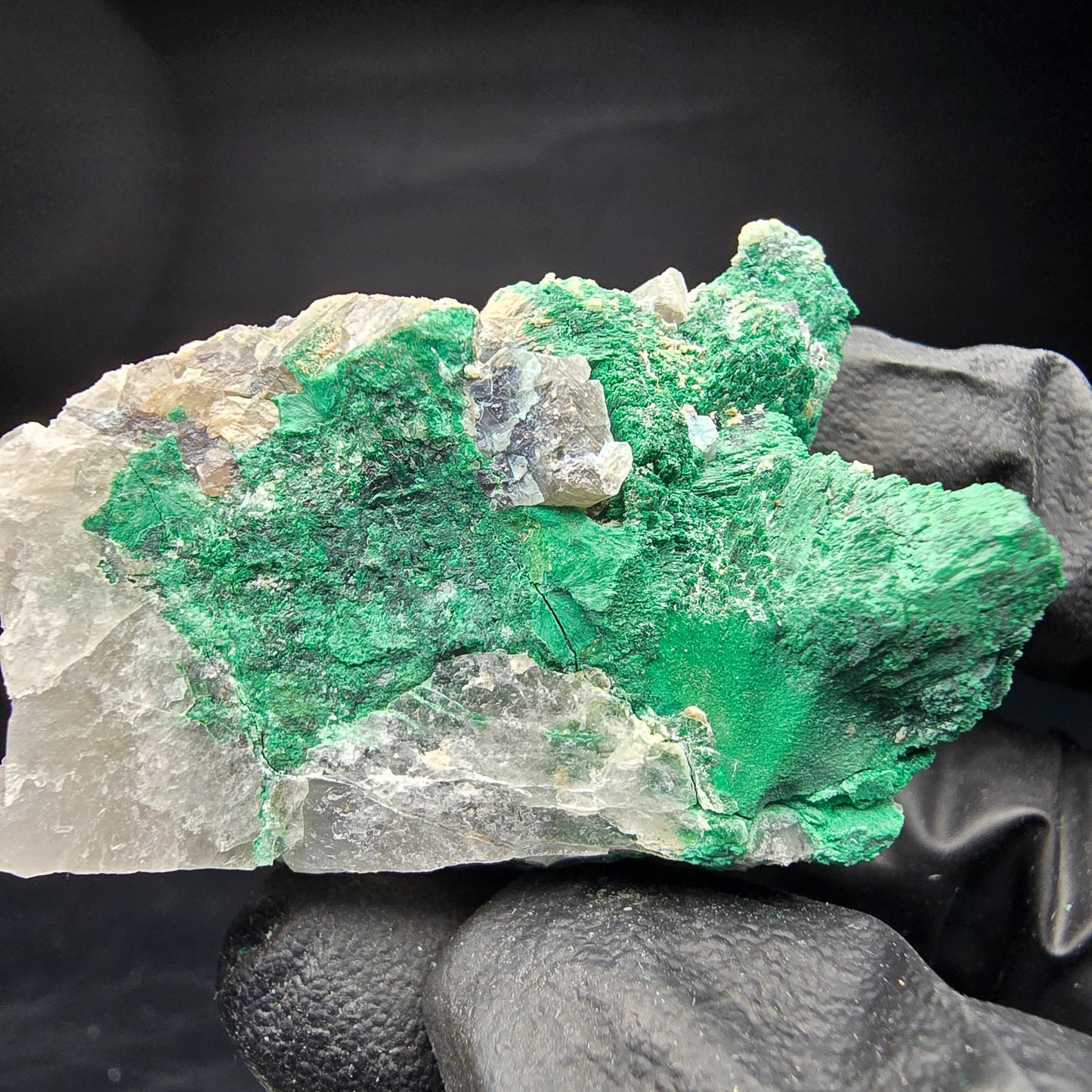 Seltene Malachit, Quarz Stufe Kaokoveld, Namibia 46*30*26mm Mineraliensammlung