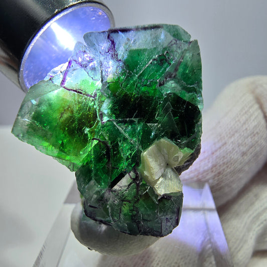 Spécimen de cube de fluorite fantôme zonal, de muscovite et de tourmaline Schorl, Erongo, Namibie, 32 x 26 x 20 mm