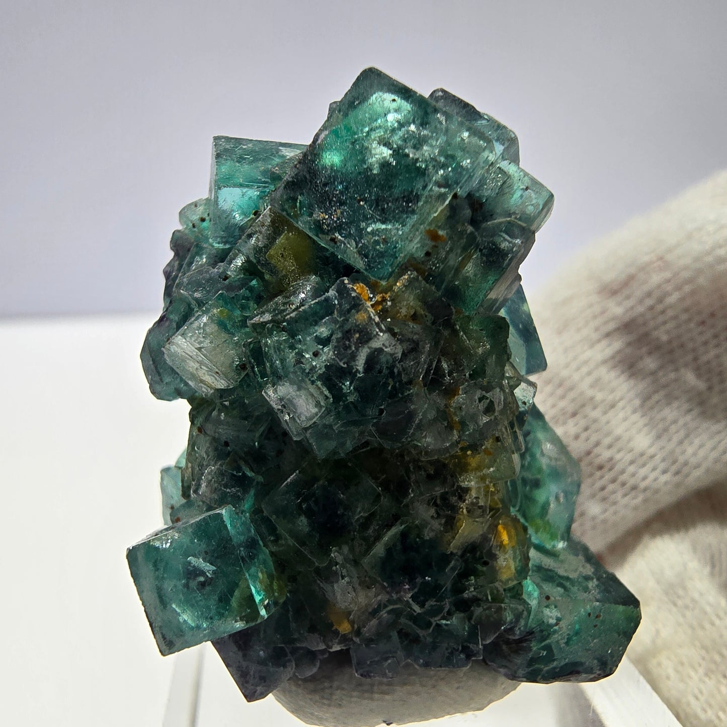 Cube de fluorite fantôme, spécimen de tourmaline Schorl, Erongo, Namibie, 34 x 27 x 22 mm