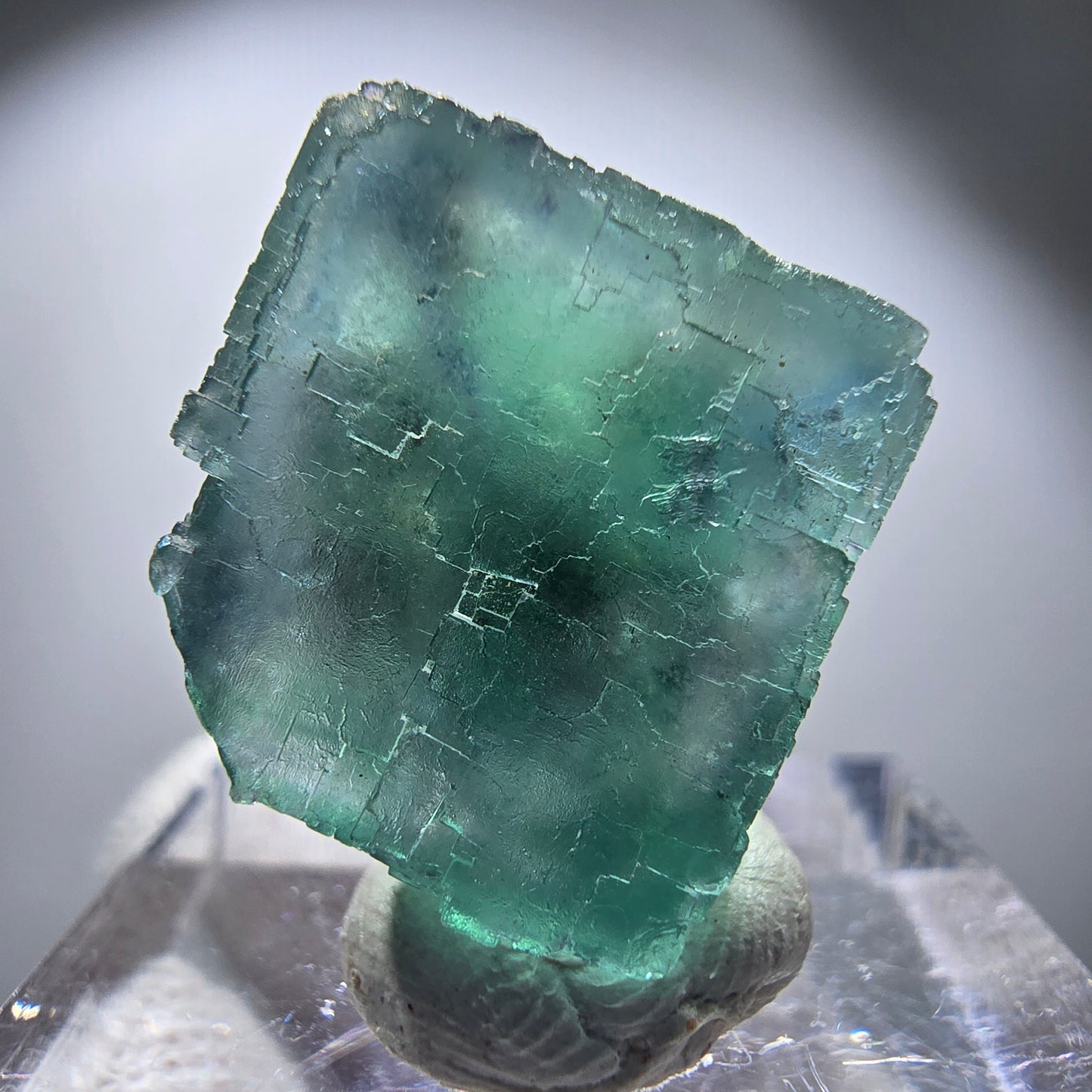 Rare spécimen de cube de fluorite fantôme, vert Okorusu, Namibie 24 x 23 x 17 mm