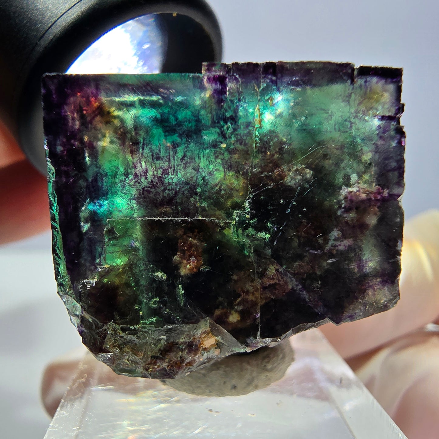 Phantom Fluorit Würfel Stufe, parkettiert grün lila Okorusu, Namibia 28*26*25mm