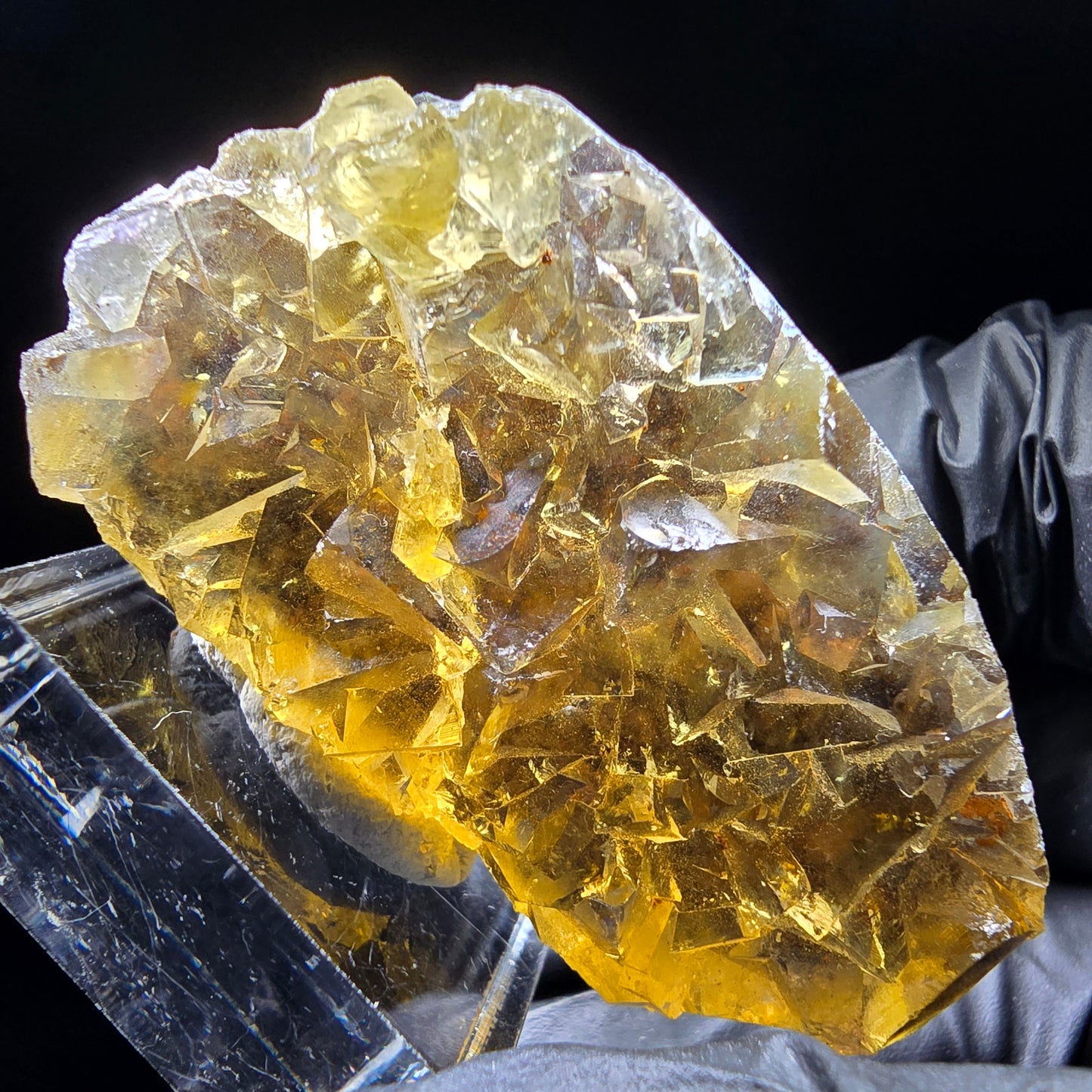 Honey Pocket Phantom Fluorite stage jaune bleu Okorusu namibie 50*28*14mm collection