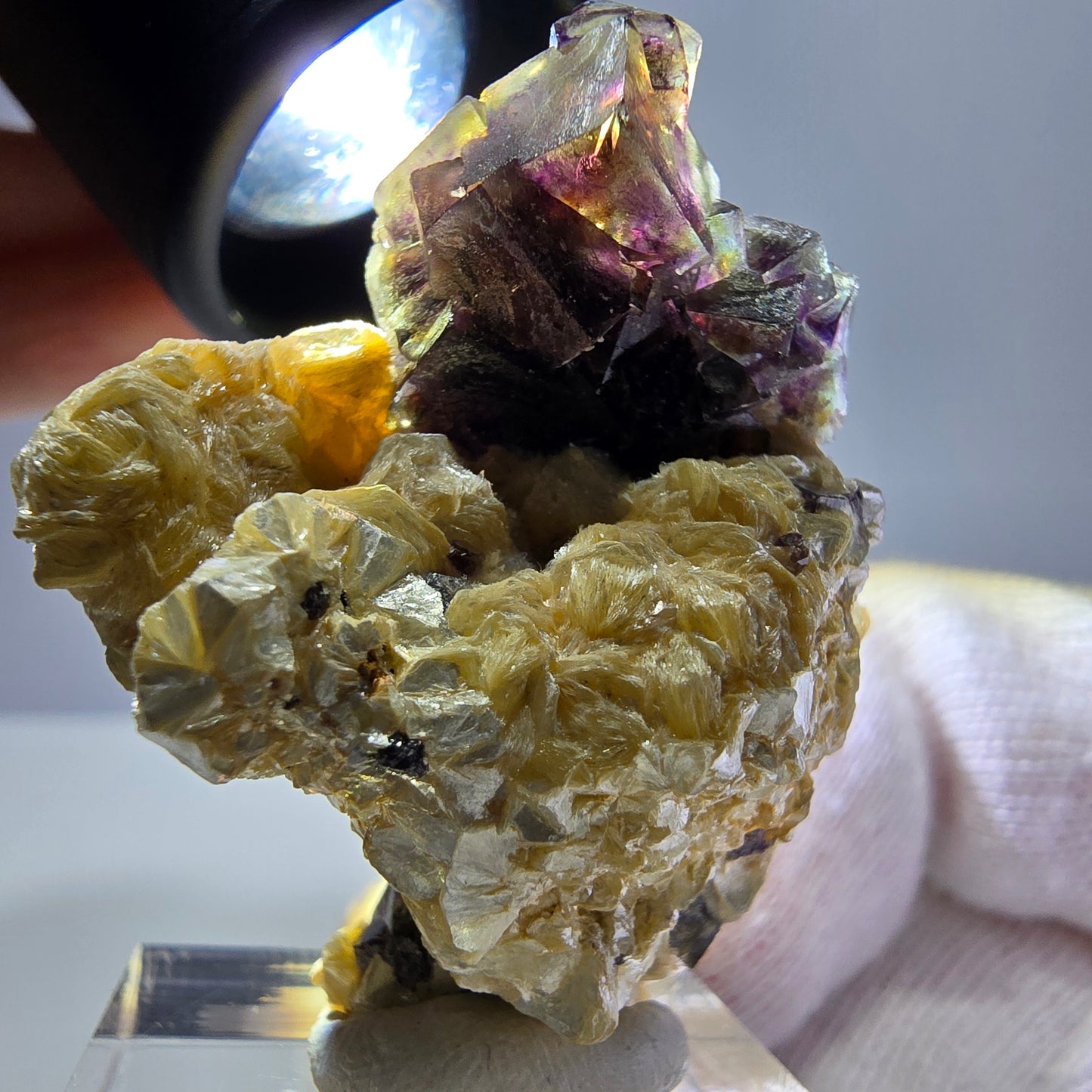 Cubes de fluorite fantôme colorés, spécimen de muscovite, Erongo, Namibie, 43 x 35 x 25 mm