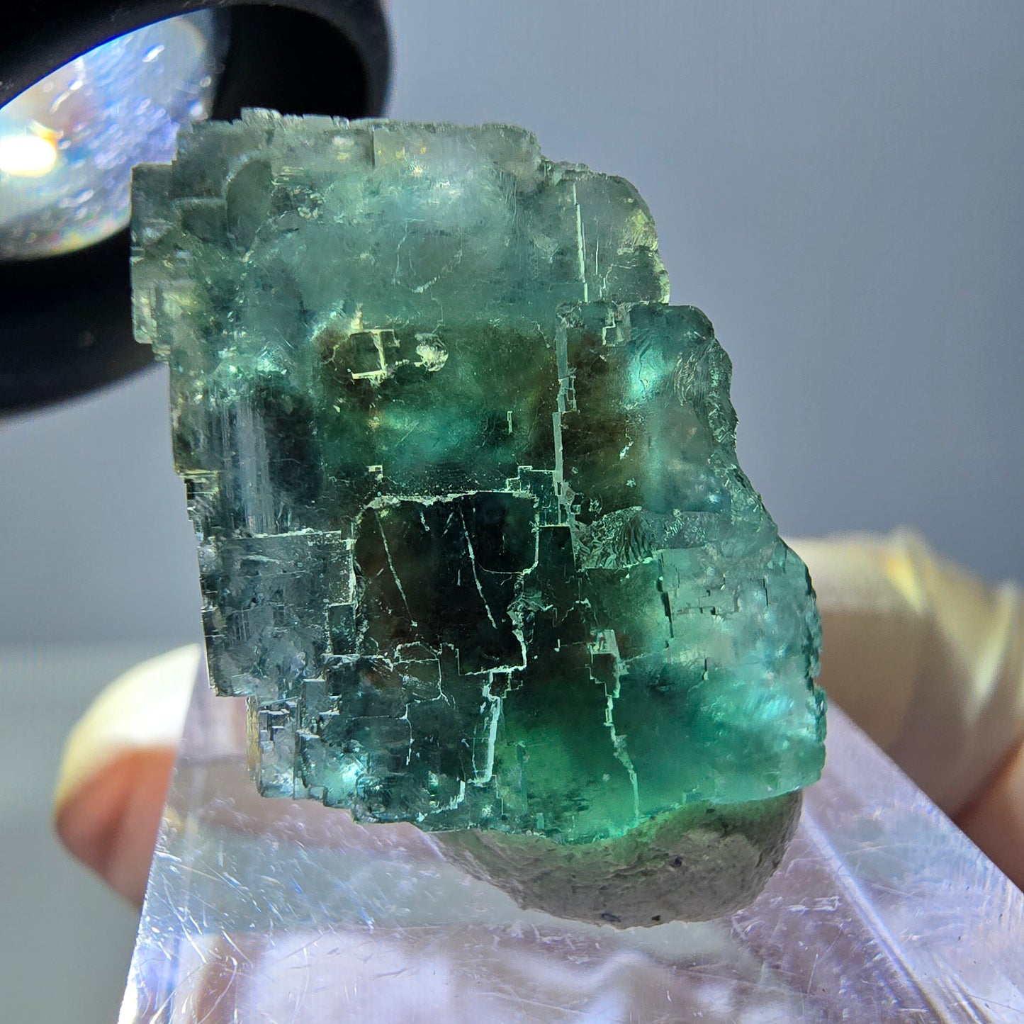 Phantom Fluorit Würfel Stufe, grün parkettiert Okorusu, Namibia 21*20*17mm