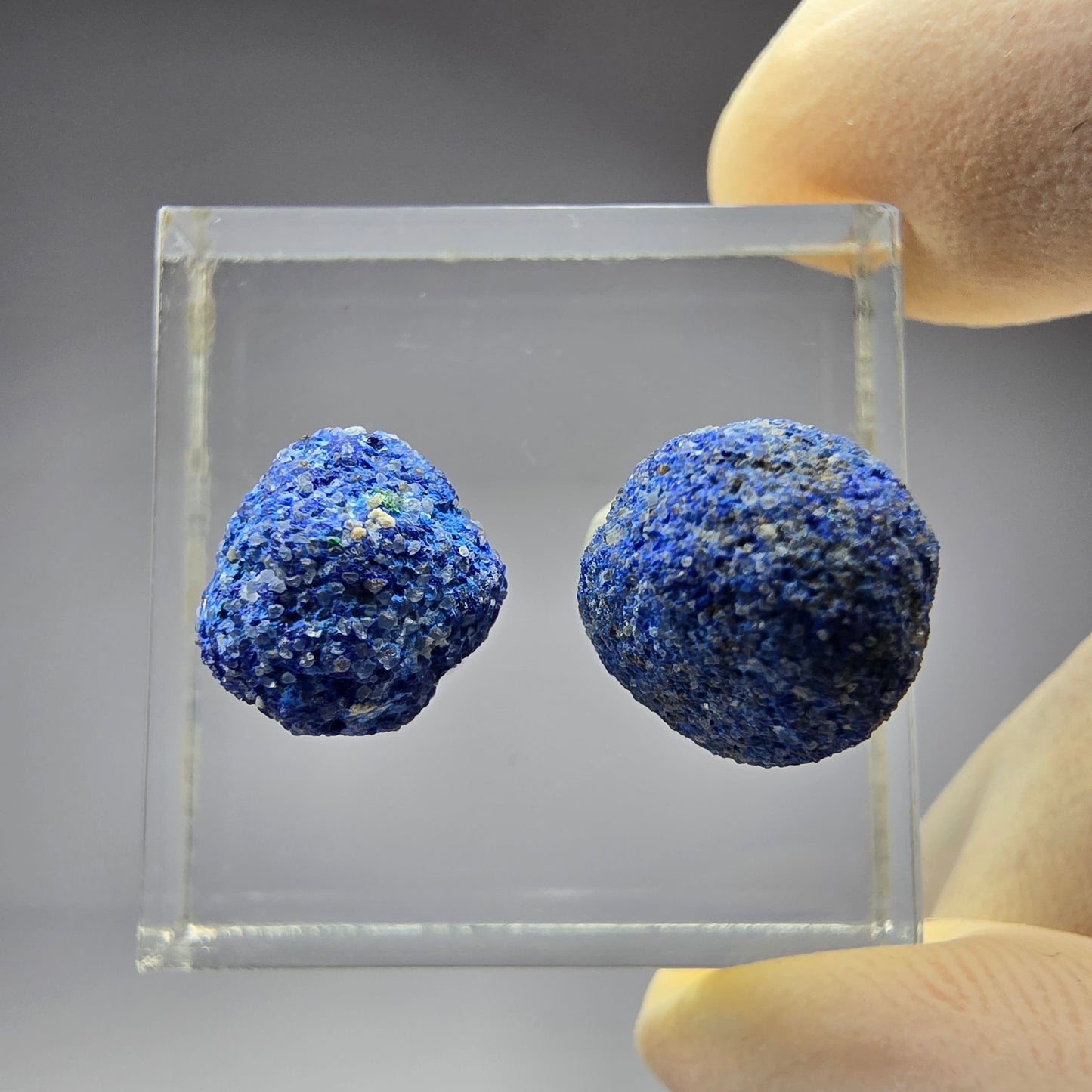 2x seltene Azurit Blueberry - Set 12,5mm + 9,9mm Durchmesser aus USA, New Mexico