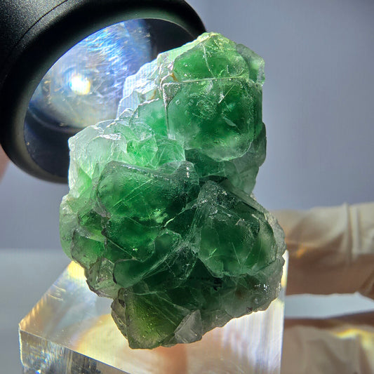 Cube de fluorite fantôme, tourmaline Schorl, Erongo, Namibie, 35 x 23 x 23 mm