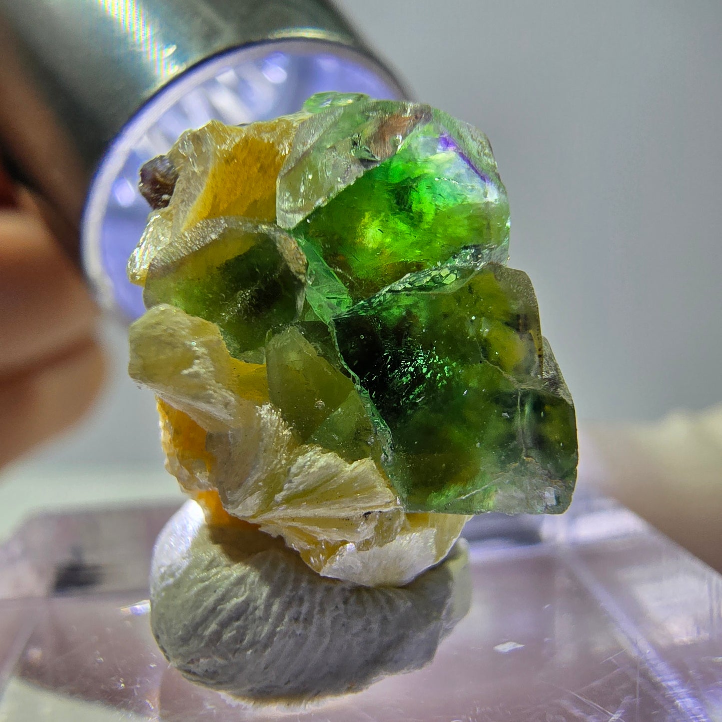 Cube de fluorite fantôme, spécimen de muscovite, Erongo, Namibie, 15 x 13 x 10 mm
