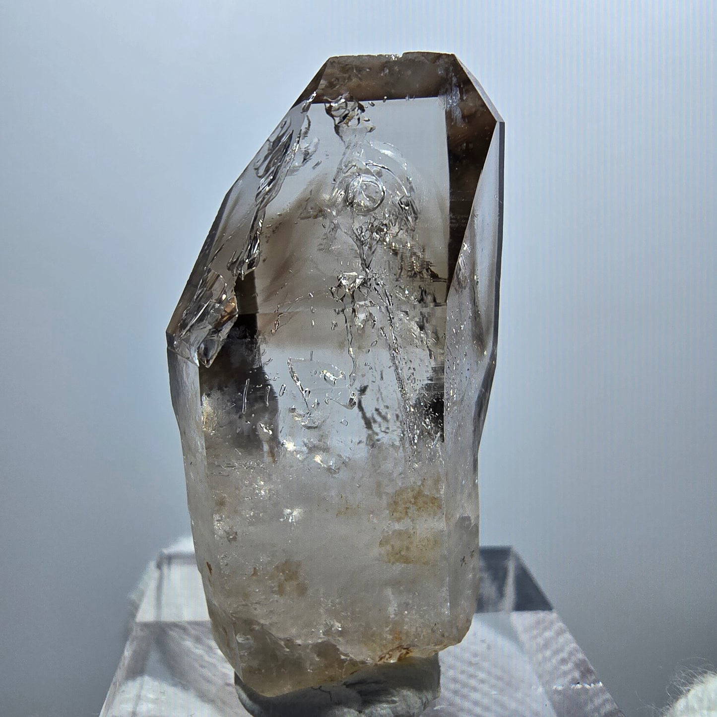 Enhydro Phantom Smoky Quartz Scepter, 1x Bubble Goboboseb, Namibia 36*18*12mm