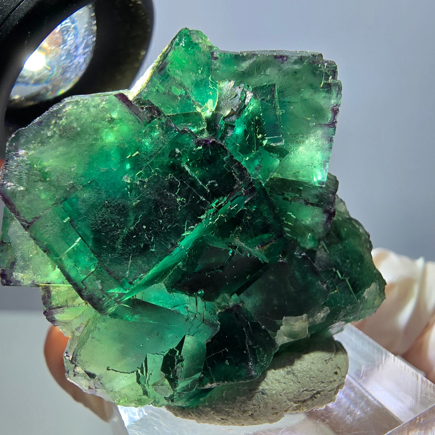 Spécimen de cube de fluorite fantôme, parquet vert Okorusu, Namibie 41 x 34 x 19 mm
