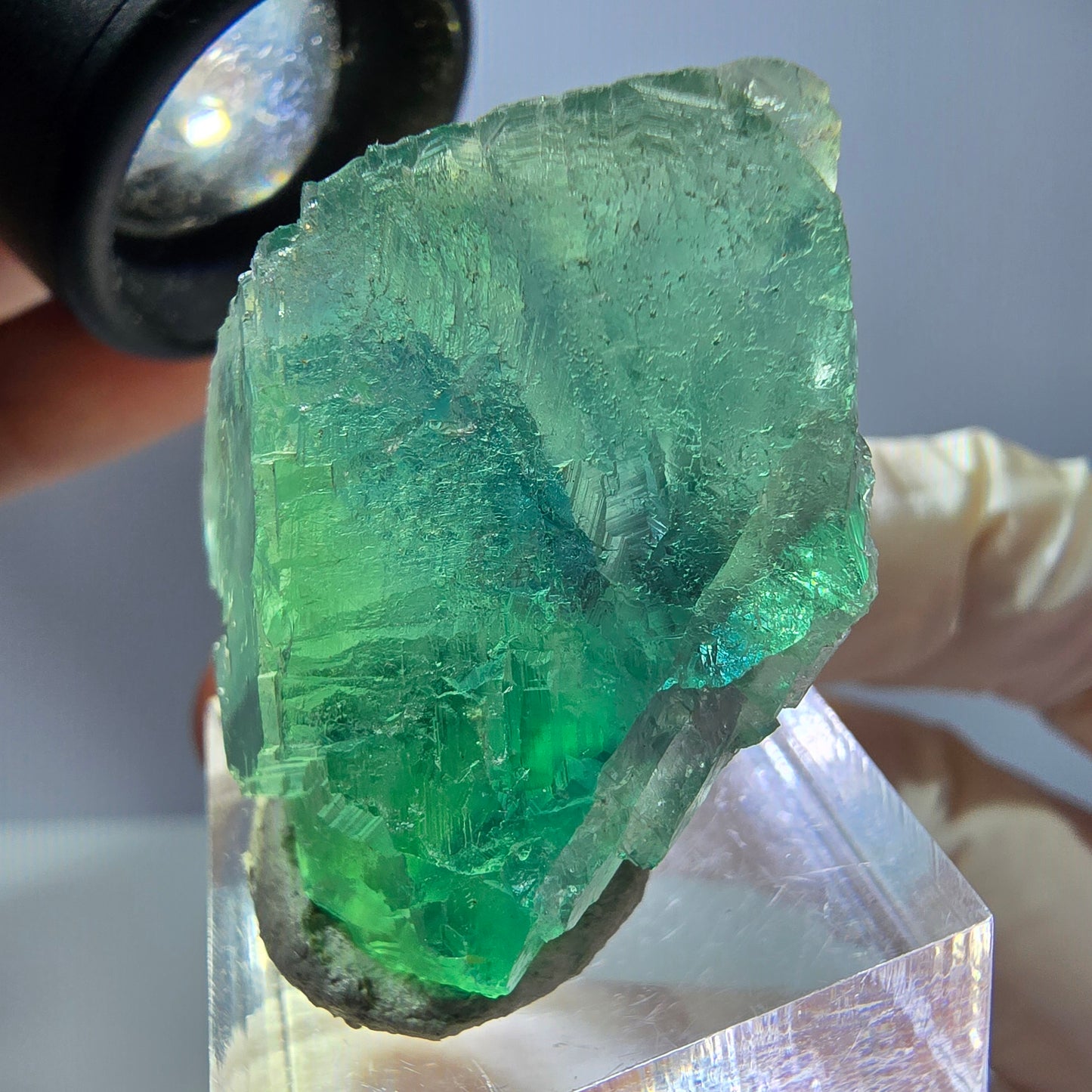 Rare spécimen de cube de fluorite fantôme, vert Okorusu, Namibie 35 x 27 x 20 mm