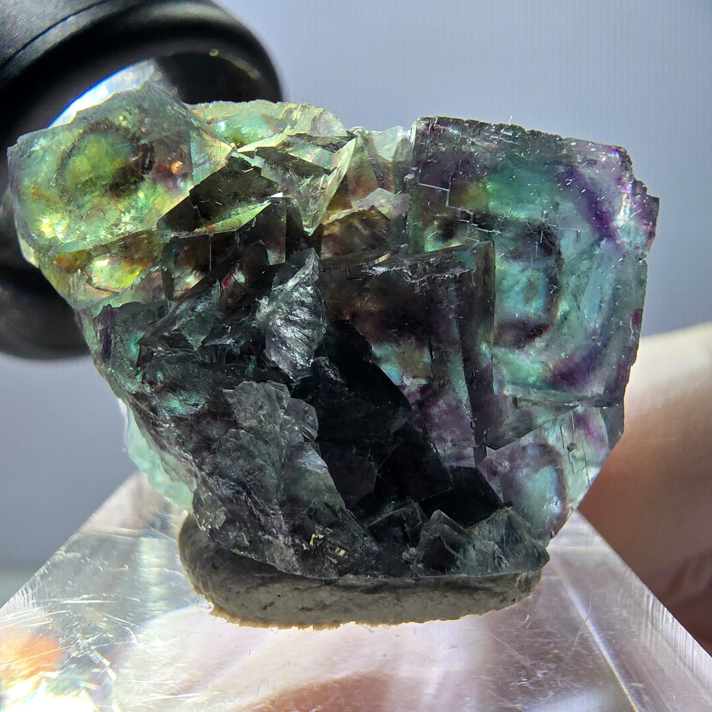 Spécimen de cube de fluorite fantôme, parqueté vert violet Okorusu, Namibie 29*21*12 mm