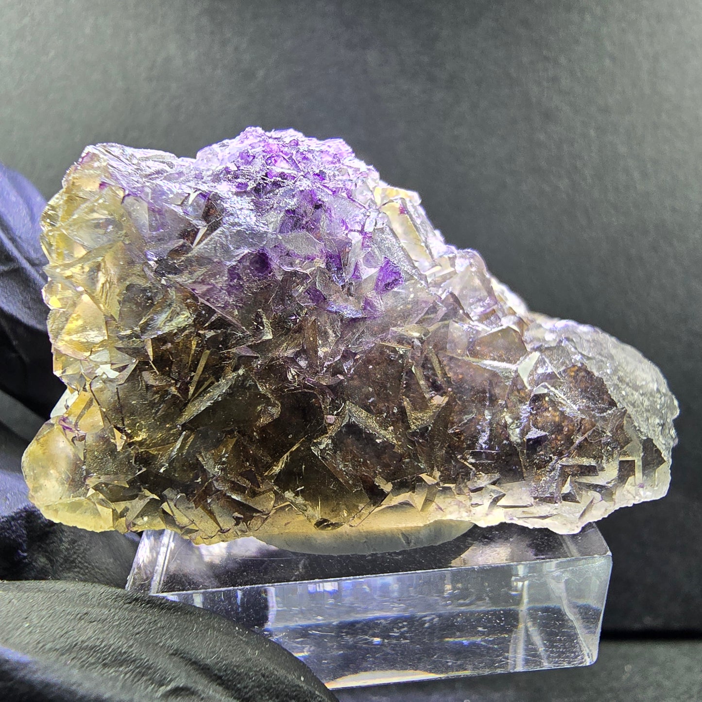Seltene Honey Pocket Phantom Fluorit XX Würfel Stufe 46*22*23mm Okorusu, Namibia