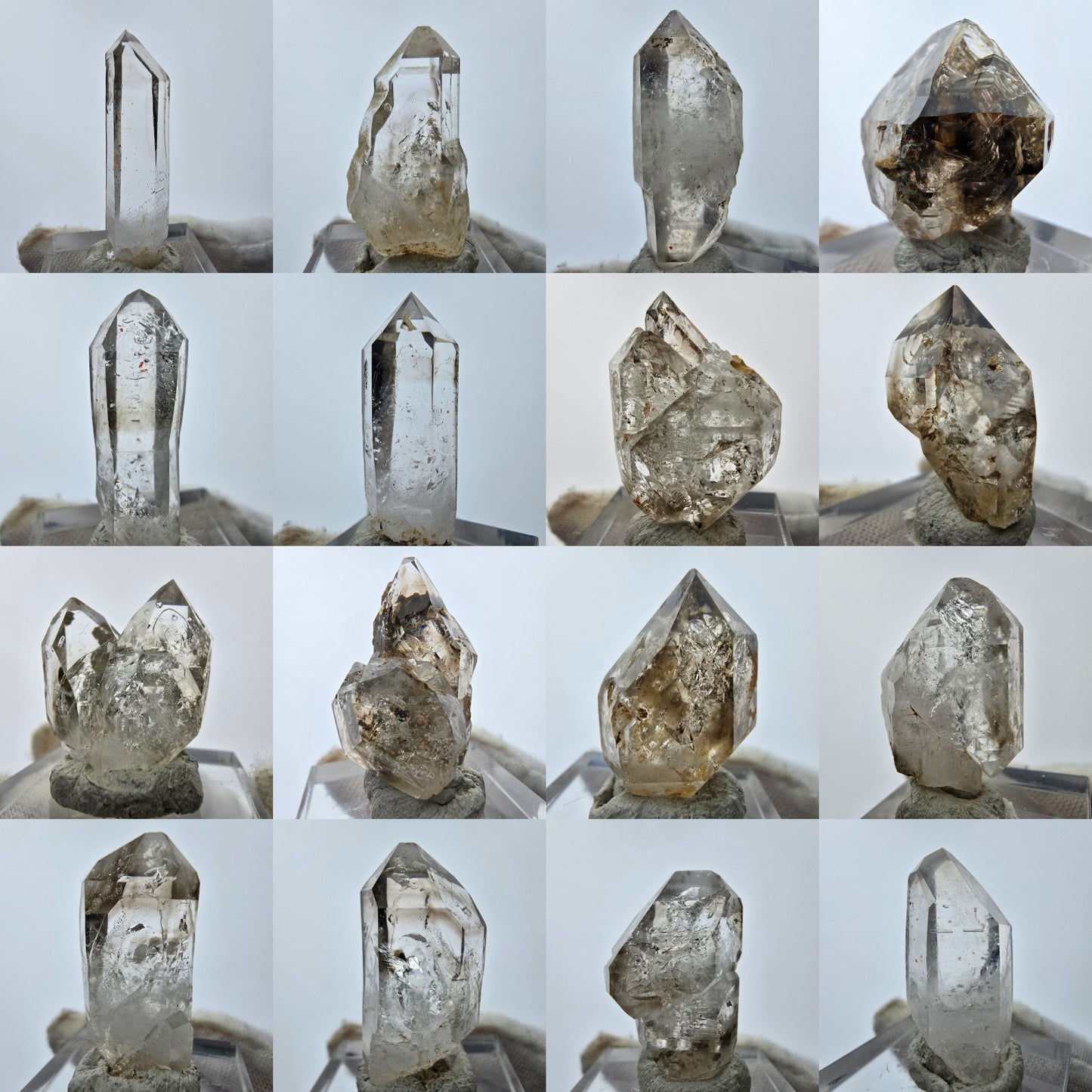 15x klare Phantom Rauchquarz Spitzen, Zepter aus Goboboseb, Namibia Lot Sammlung