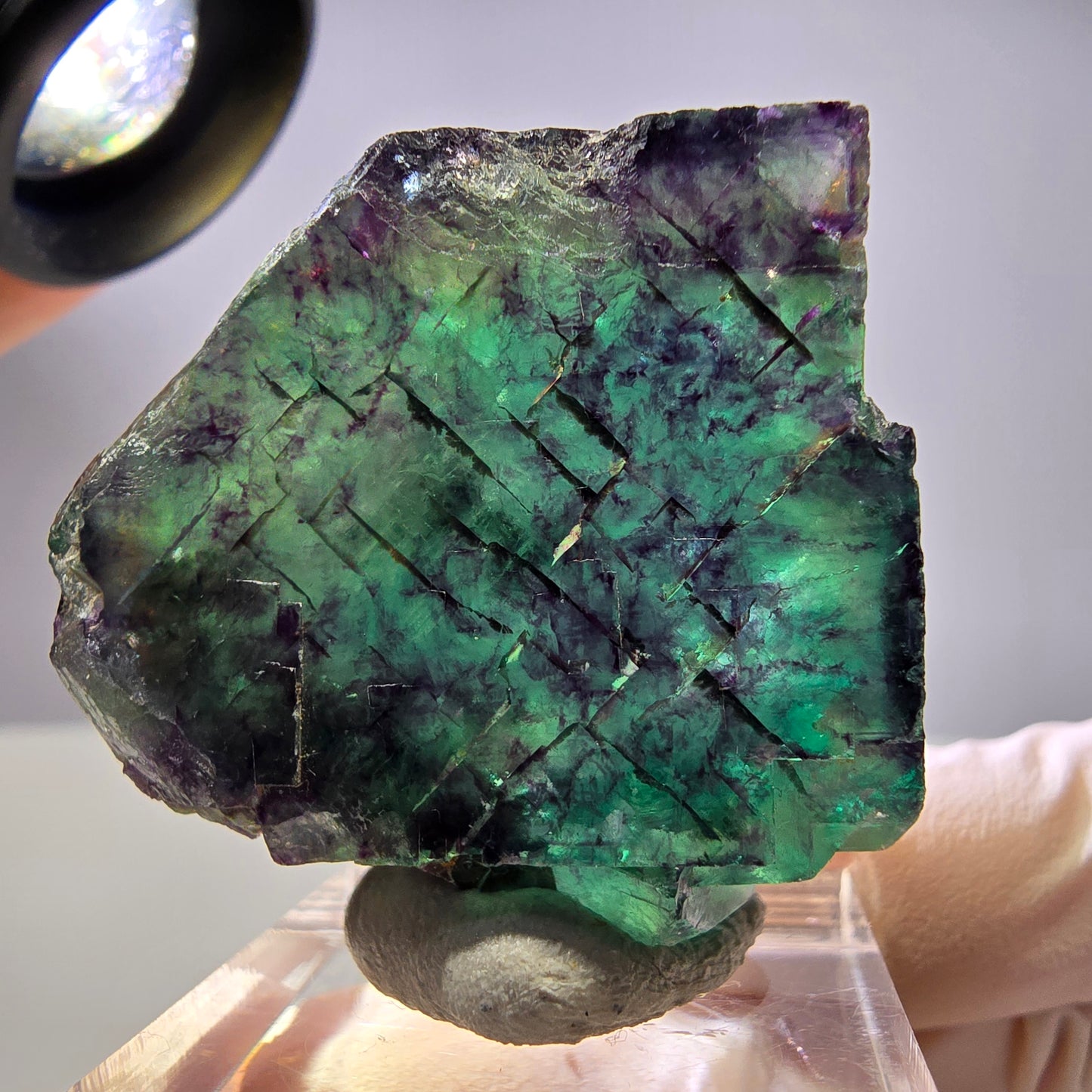 Rare cube de fluorite fantôme parqueté vert violet Okorusu Namibie 35*33*14mm