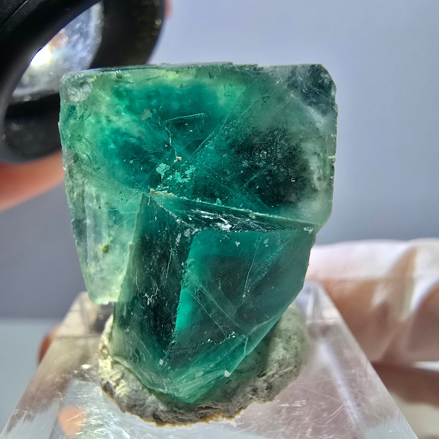 Spécimen de cube de fluorite fantôme, parquet vert Okorusu, Namibie 25 x 21 x 19 mm