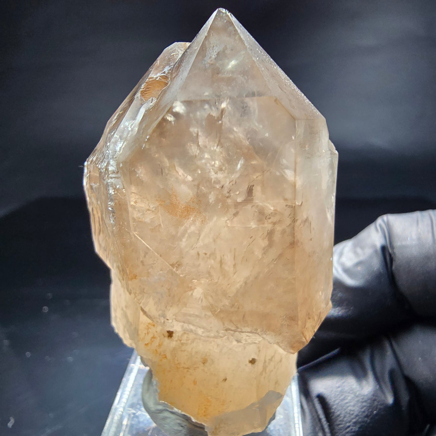 Schöne Phantom Rauchquarz Zepter Spitzen Erongo, Namibia 56*33*28mm Sammlung