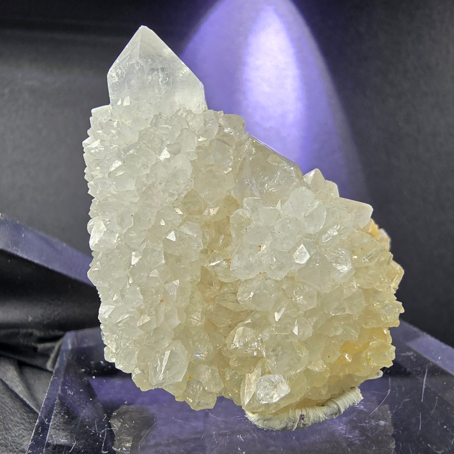 Seltene Kaktusquarz, Spirit Quarz XX Stufe 35*37*30mm Boekenhouthoek, Südafrika