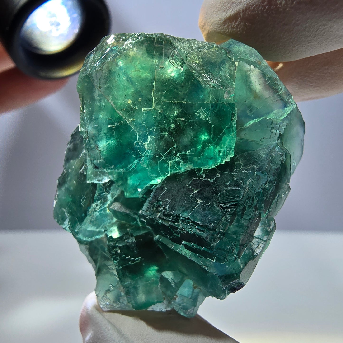Spécimen de cube de fluorite fantôme transparente, vert parqueté, Okorusu, Namibie, 48 x 36 x 21 mm