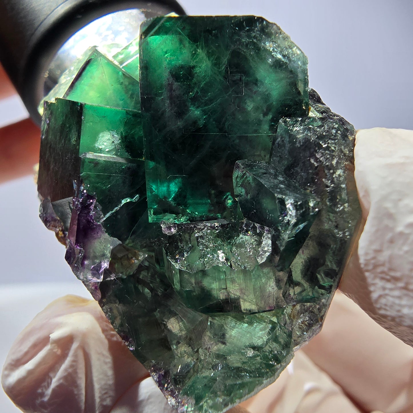 Spécimen de cube de fluorite fantôme, parqueté vert violet Okorusu, Namibie 49*31*21 mm