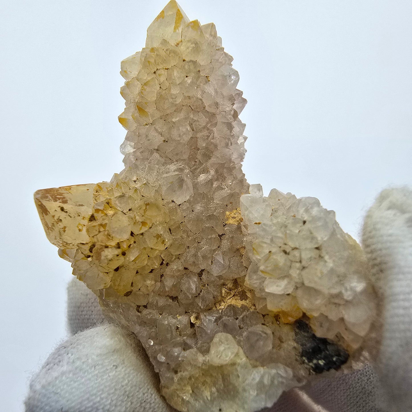Kaktusquarz, Spirit Quarz XX Stufe Boekenhouthoek, Südafrika 45*30*23mm Sammlung