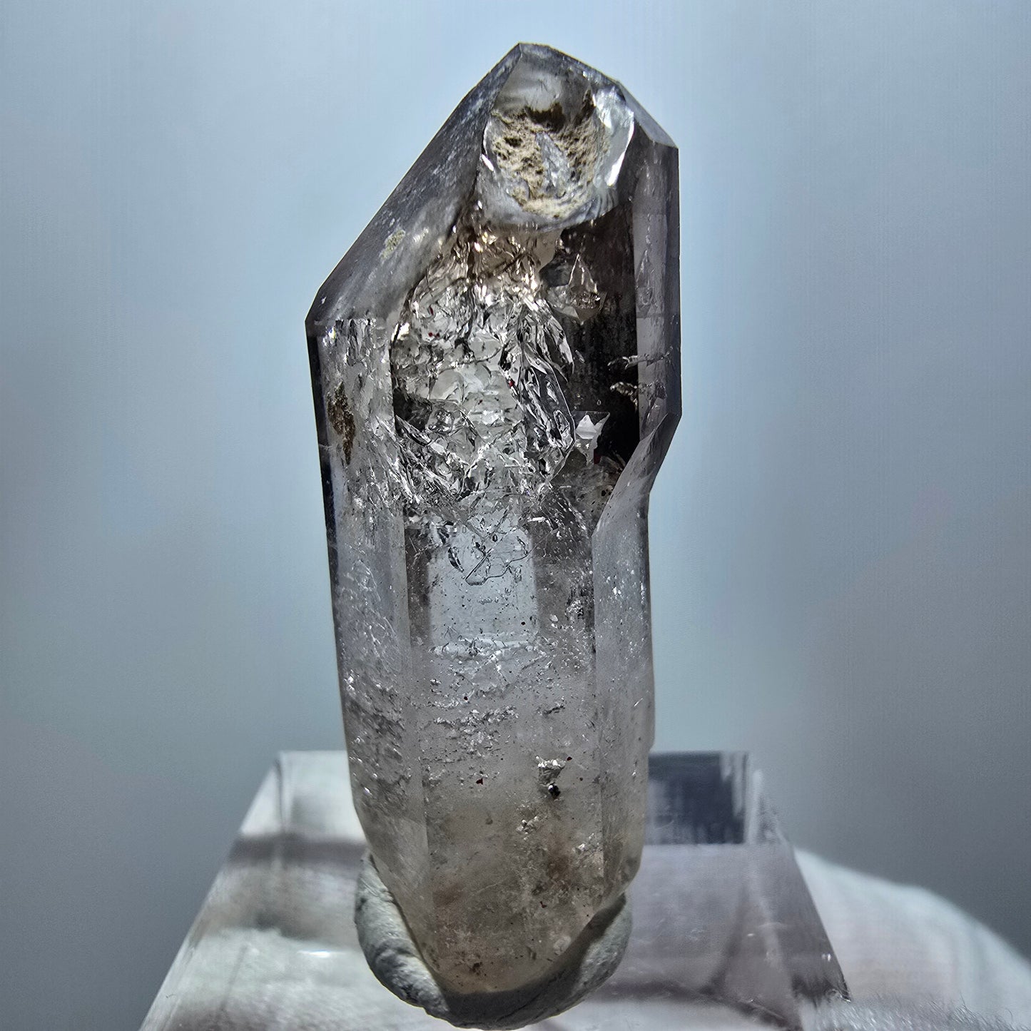 Enhydro Phantom Rauchquarz Zepter, 1x Blase Goboboseb, Namibia 38*14*14mm