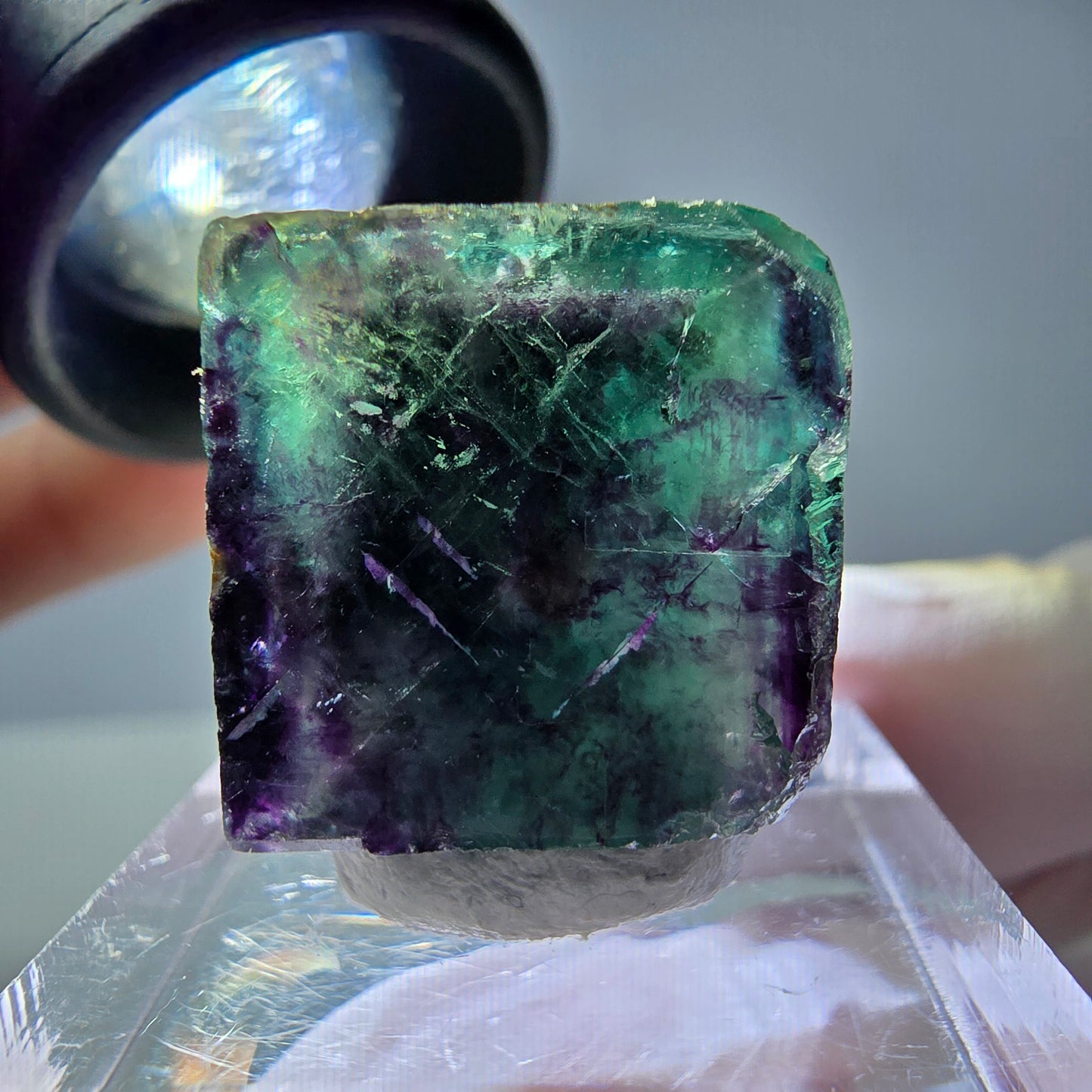 Rare cube de fluorite fantôme parqueté vert violet Okorusu Namibie 18*18*16mm