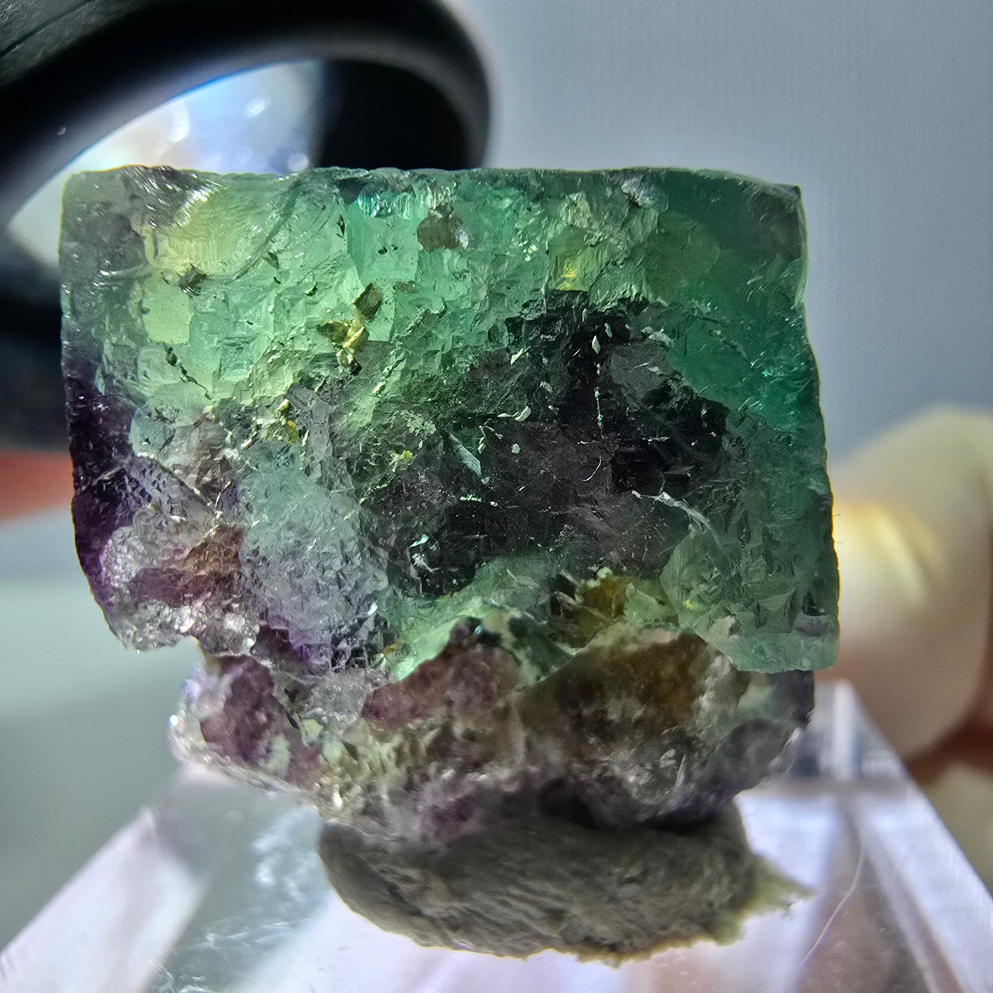 Phantom Fluorit Würfel Stufe, parkettiert grün lila Okorusu, Namibia 27*21*16mm