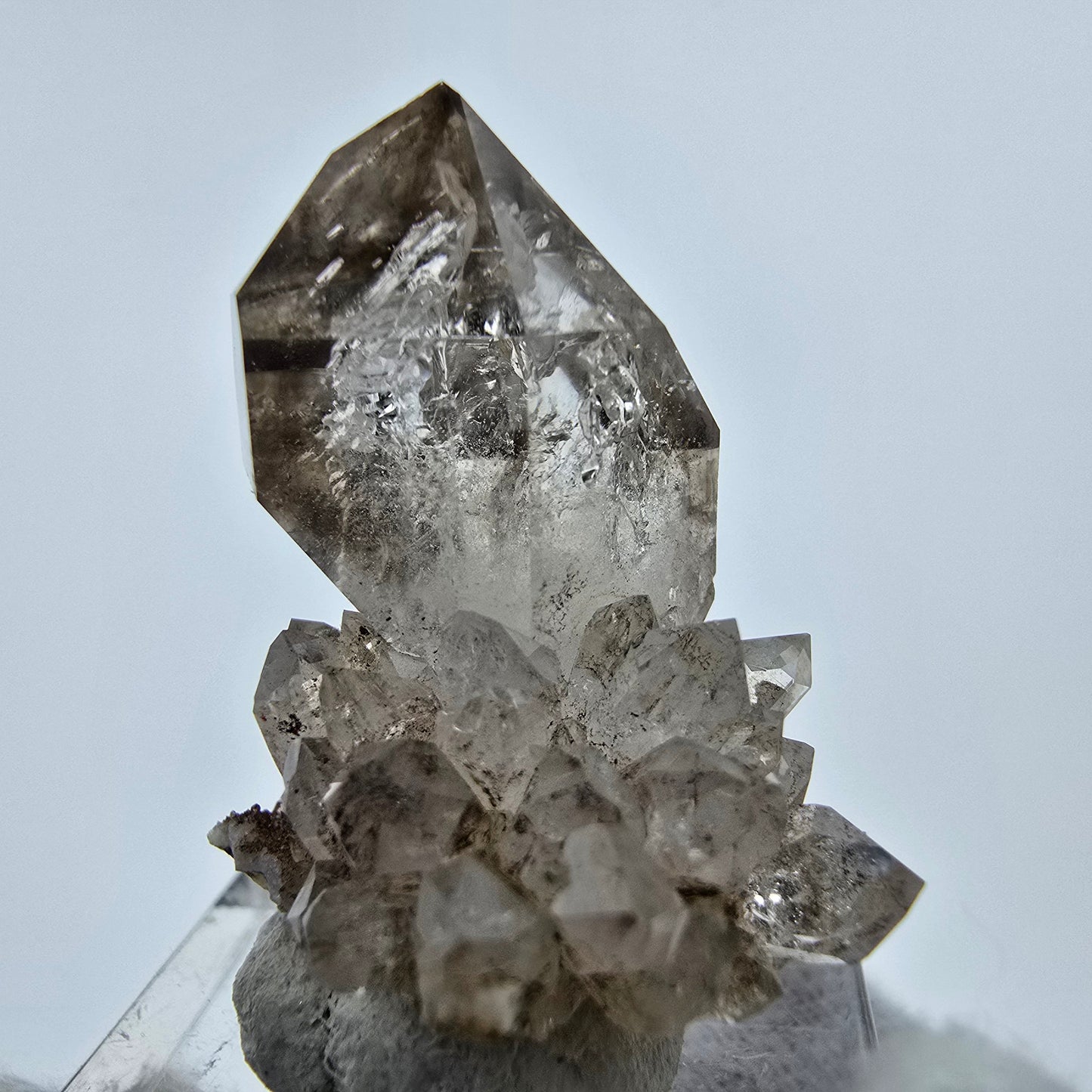 Phantom Rauchquarz DT Zepter Stufe Goboboseb, Namibia 31*27*24mm