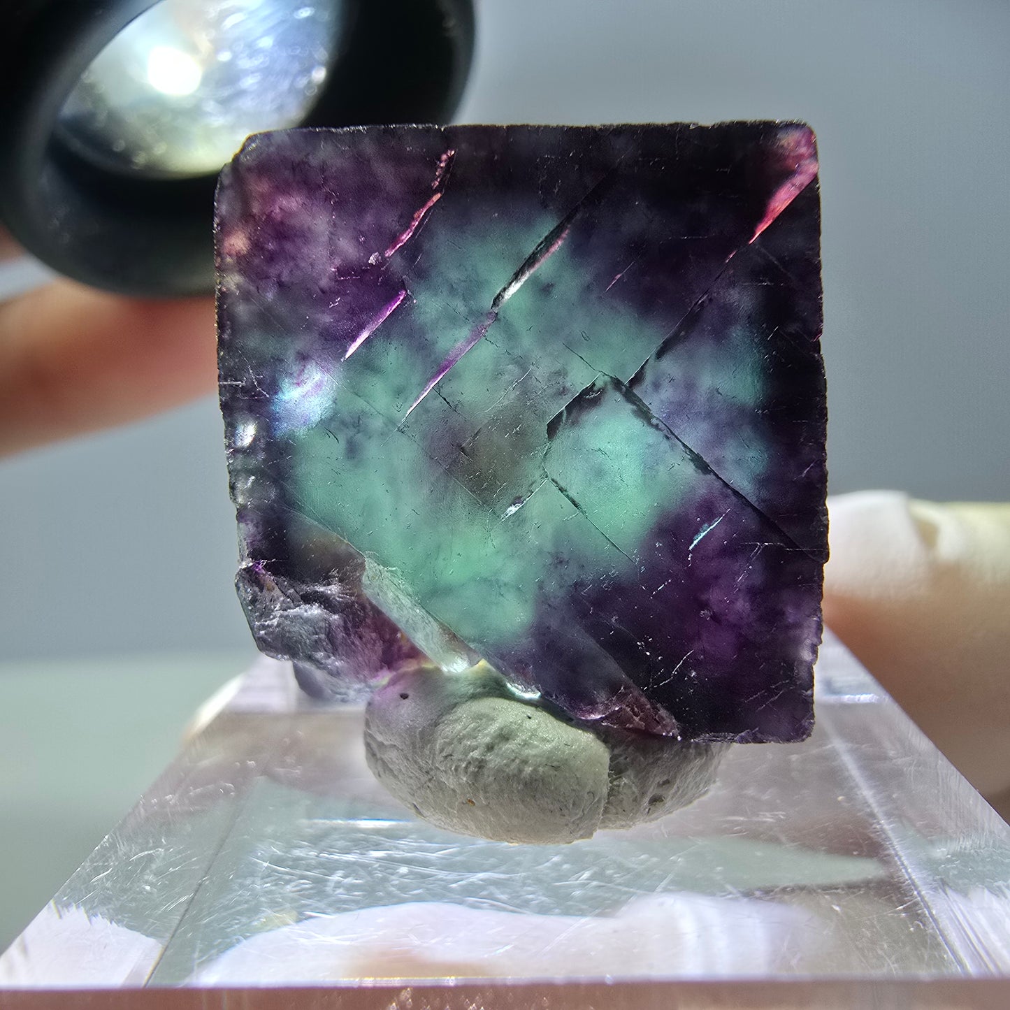Rare cube de fluorite fantôme parqueté vert violet Okorusu Namibie 19*20*14mm