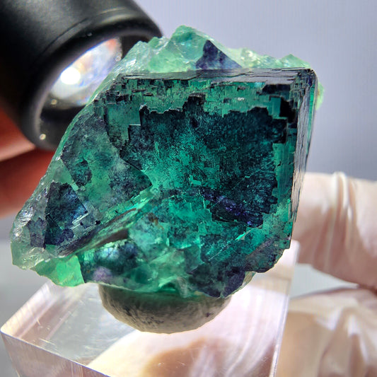 Phantom Fluorit Würfel Stufe grün lila zonal 11:11 Angel Pocket, Namibia 35*28*22mm