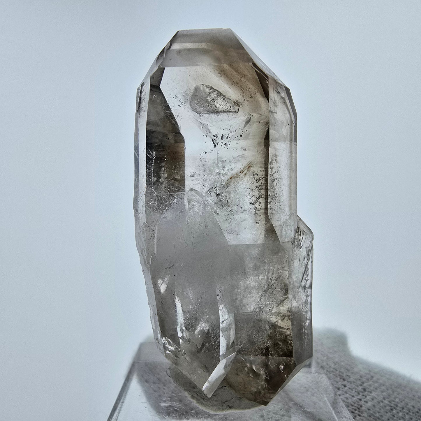 Phantom Rauchquarz DT Zepter Stufe Goboboseb, Namibia 46*22*14mm