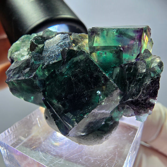 Seltene Fluorit Würfel Stufe, grün lila Okorusu, Namibia 42*25*17mm