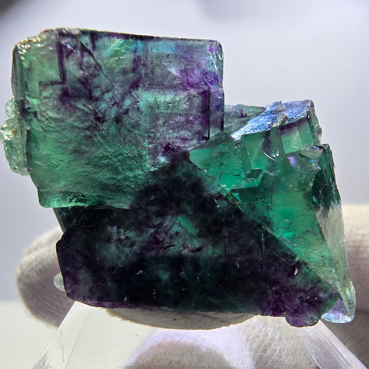 Spécimen rare de cube de fluorite fantôme, vert-violet zonal, Okorusu, Namibie, 46 x 37 x 24 mm