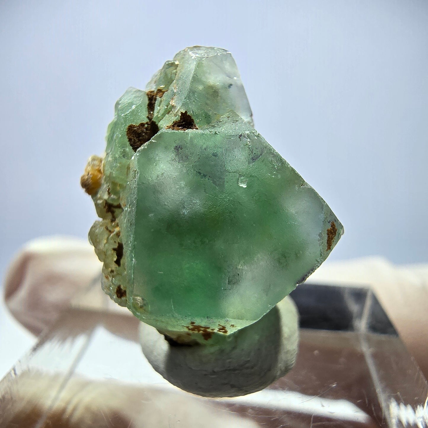 Cube de fluorite fantôme, spécimen de muscovite, Erongo, Namibie, 20 x 16 x 14 mm