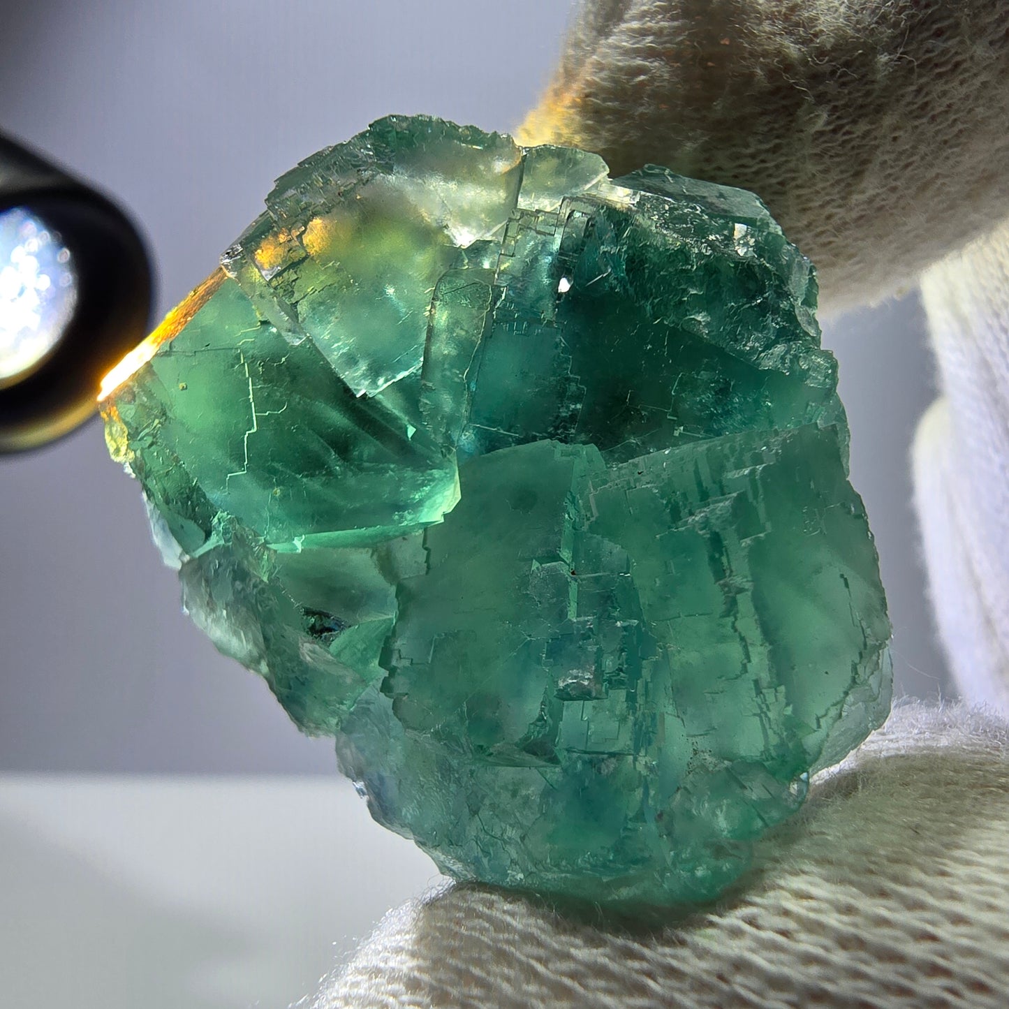 Rare spécimen de cube de fluorite fantôme, parqueté vert Okorusu, Namibie, 38 x 33 x 21 mm