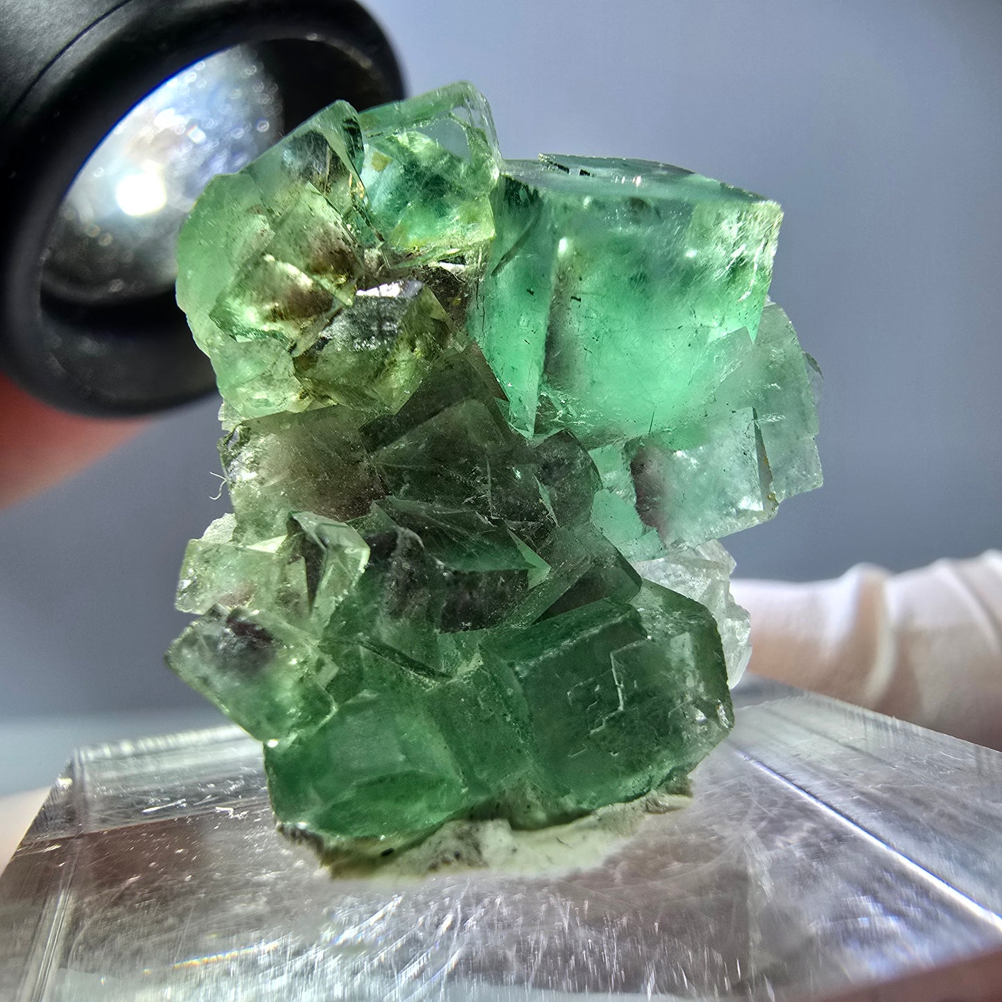 Spécimen de cube de fluorite fantôme, vert violet, Okorusu, Namibie, 25 x 24 x 15 mm