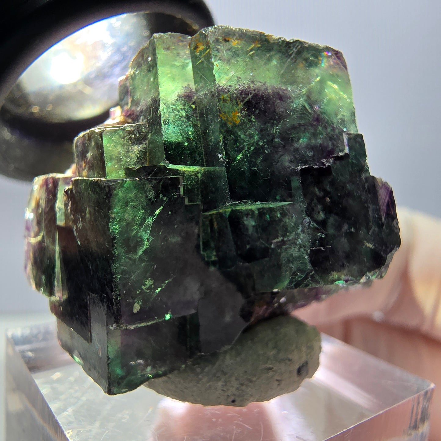 Spécimen de cube de fluorite fantôme, parqueté vert violet Okorusu, Namibie 28*27*22 mm